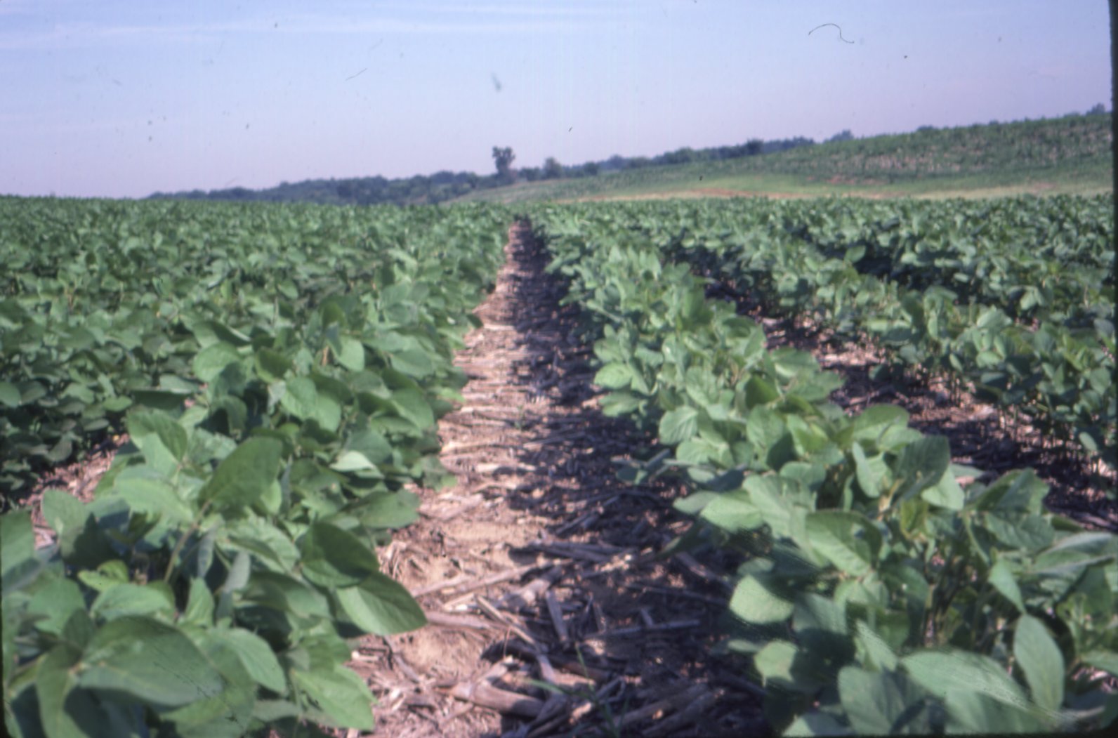 Jerry Lehman no-till