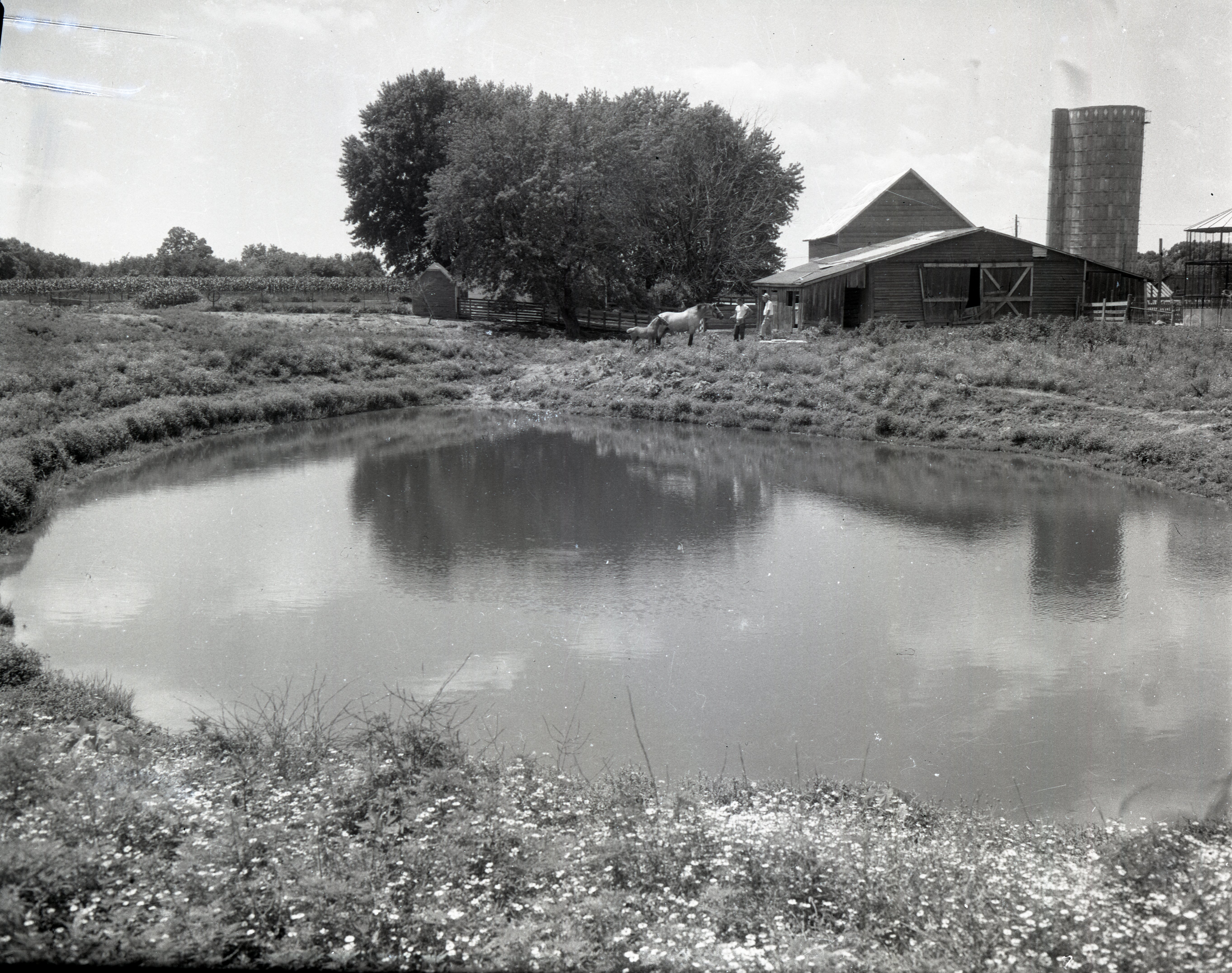Two unidentified men stand with horses beside a barn in back of a pond