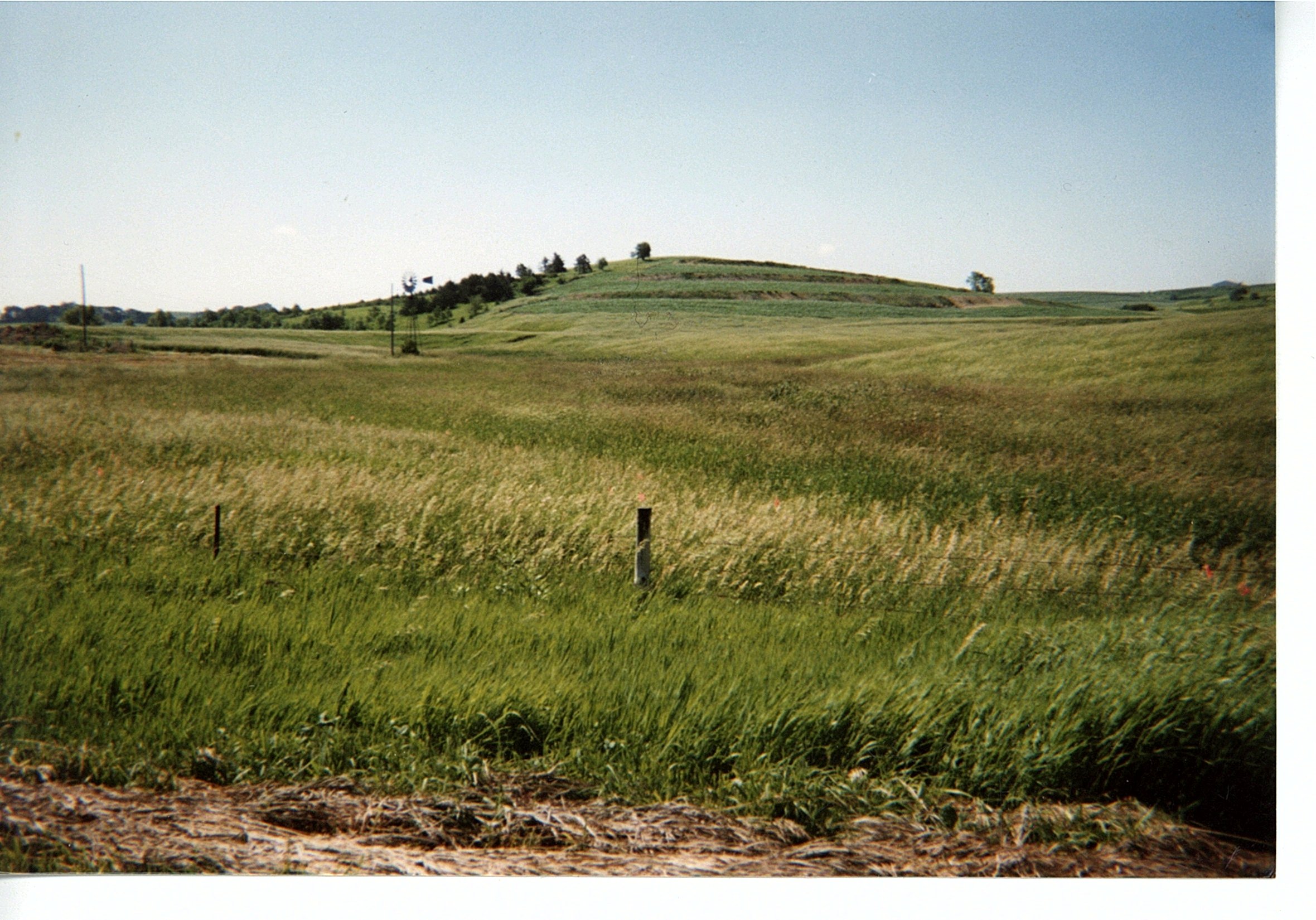 Schreiber riparian 