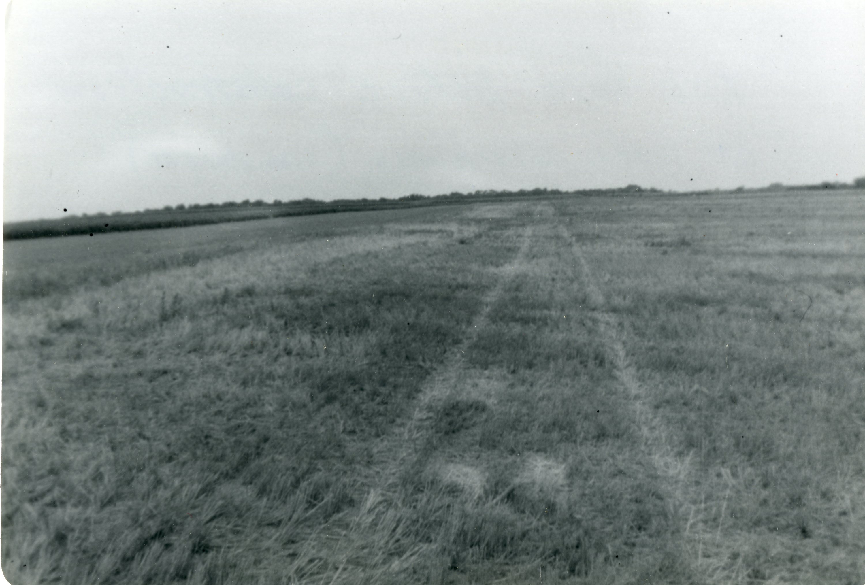 TOT Site before Construction