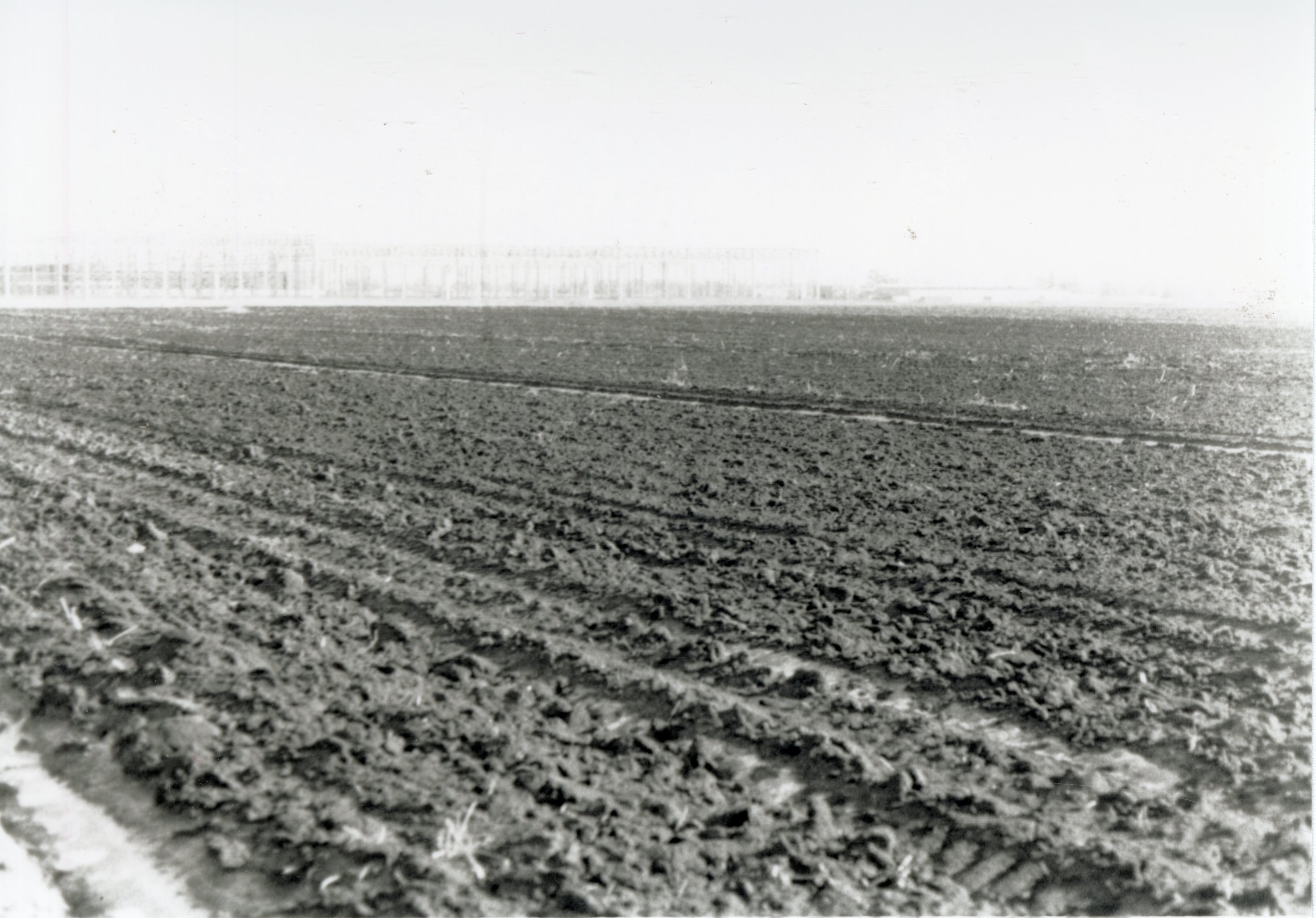 Muddy fields