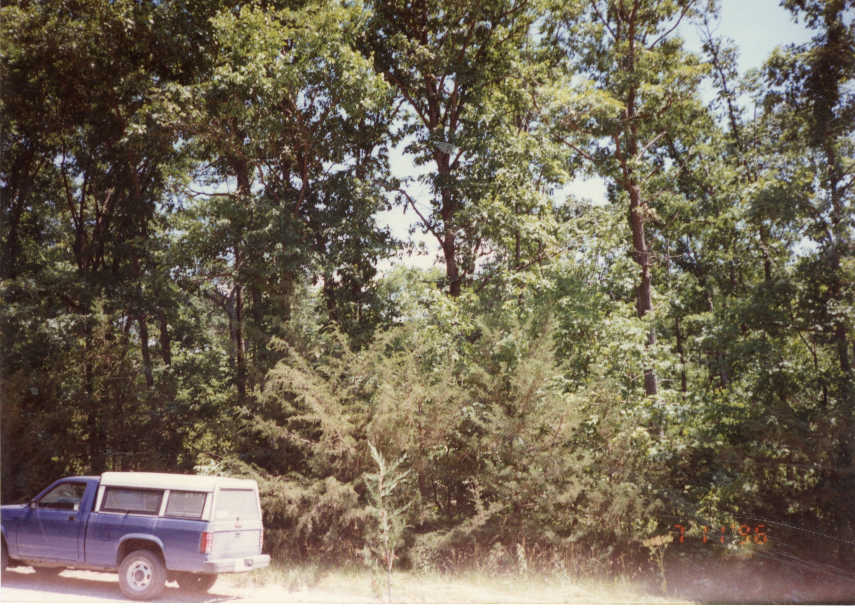 1996  Photos of Shining Trail Girl Scout Council  (GSC) Camp La-Kee-Ta in Danville, Iowa