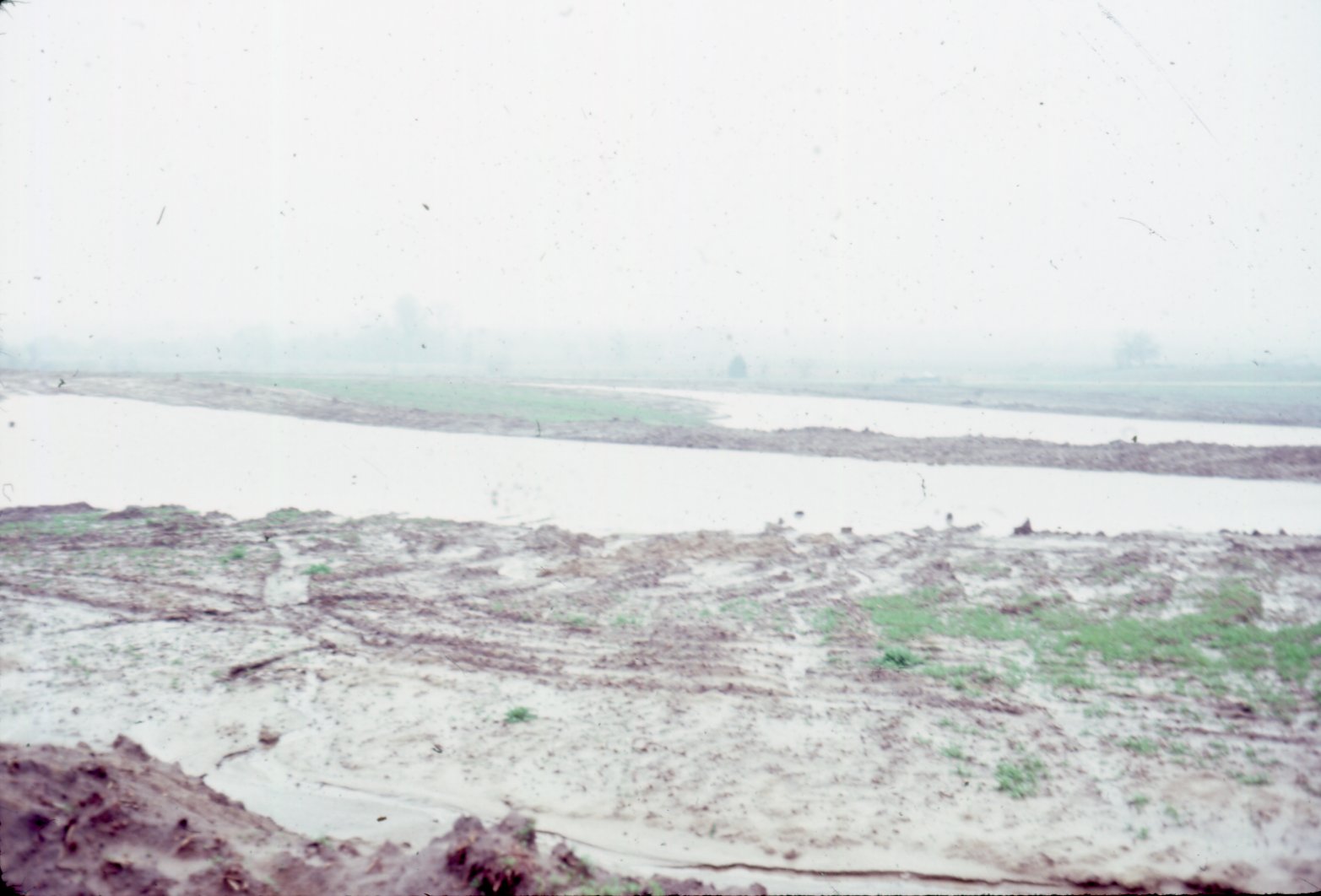 Flooded cropland, 1984