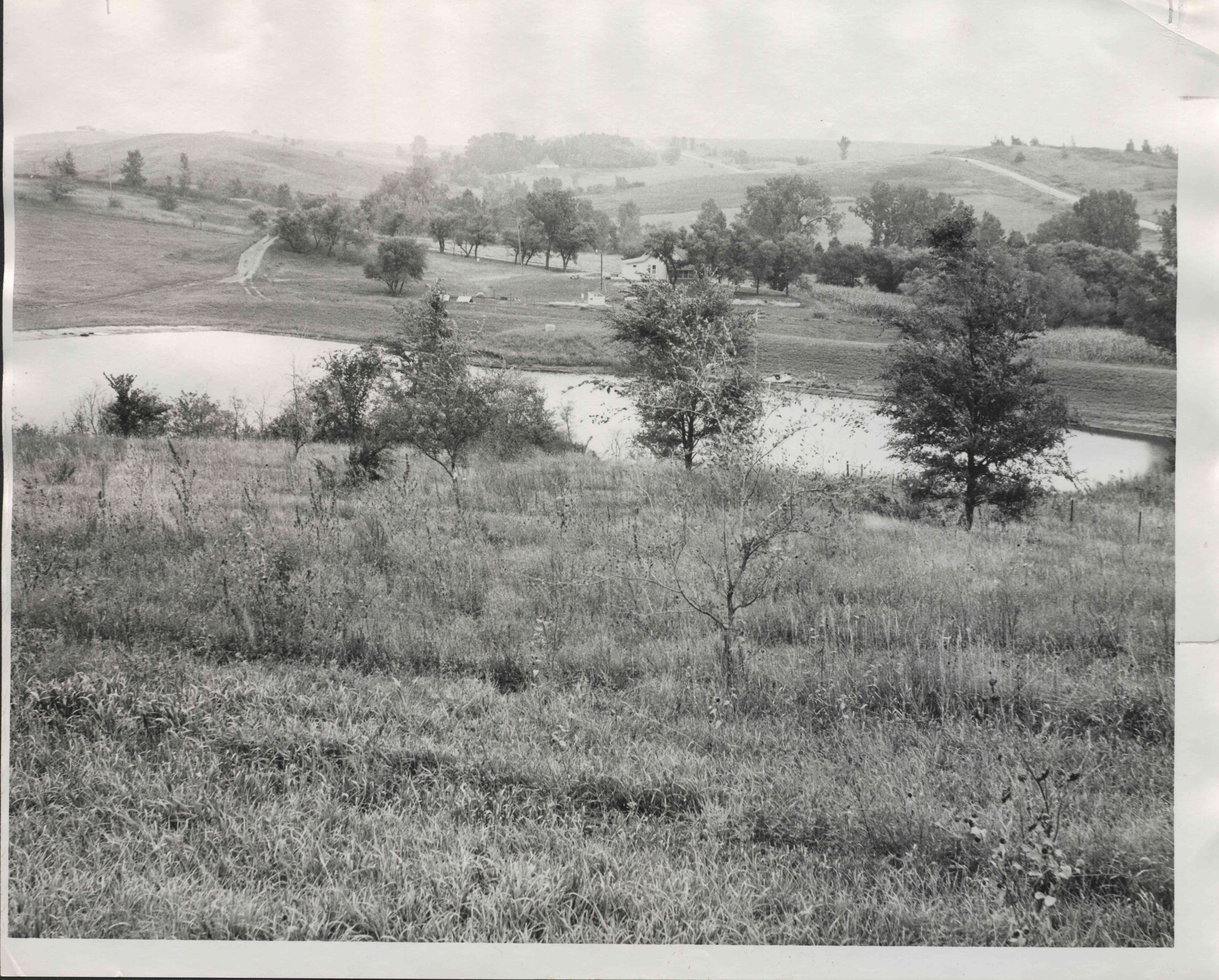Pond in rural area surrounded by trees and grassland