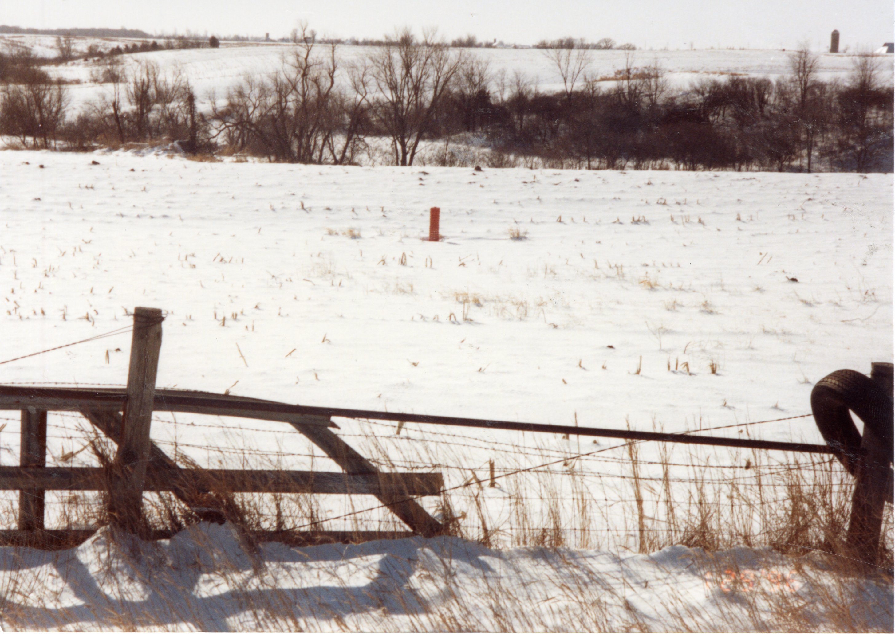 1996  Terraces built by Richard Edie