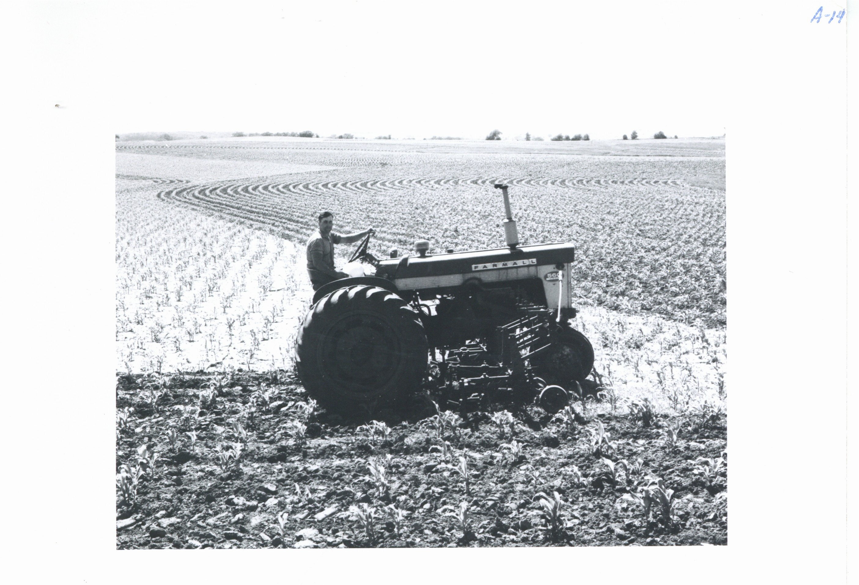 Archie McNiel cultivating corn, 1965
