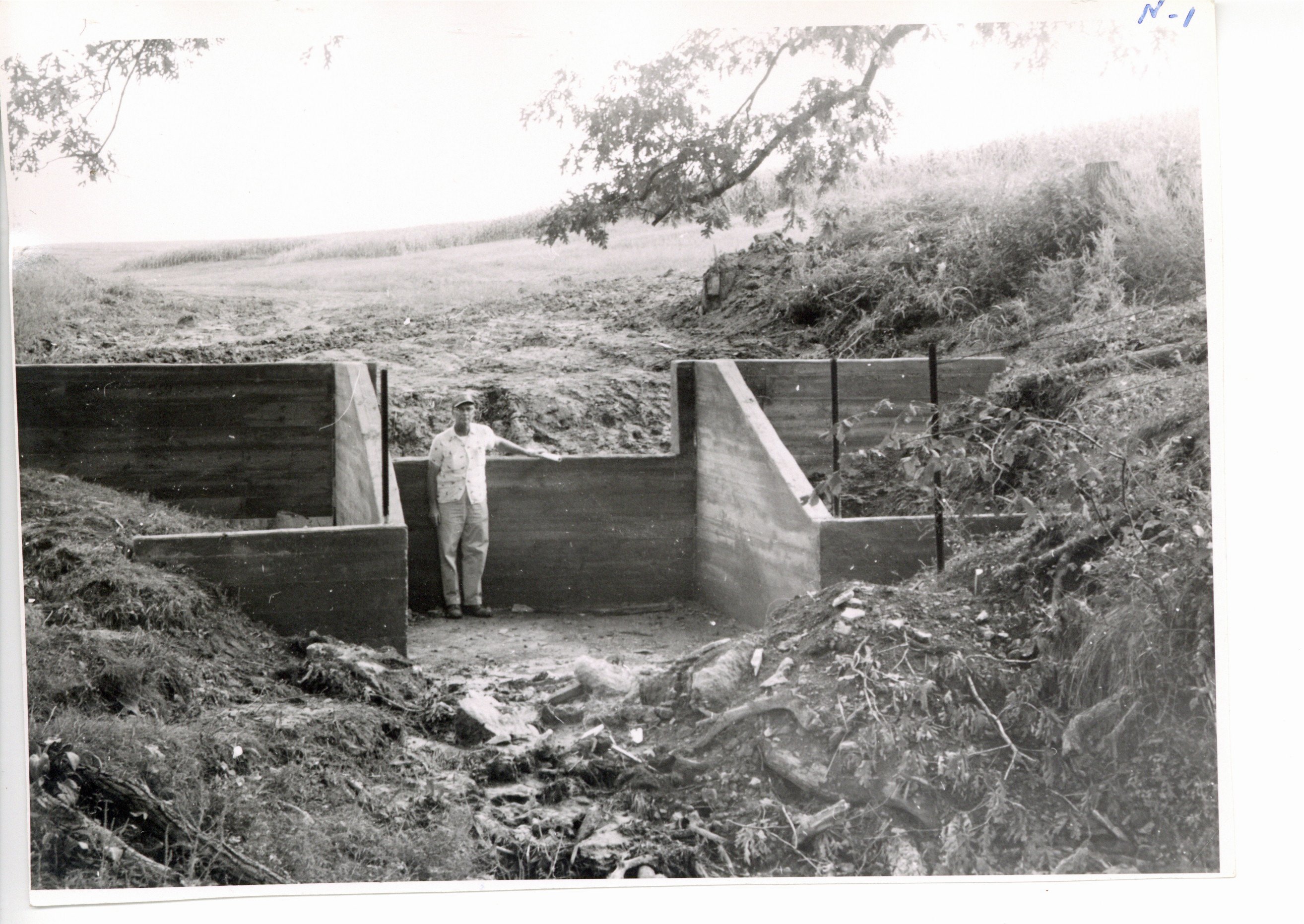 Weiland Brothers farm, 1960s