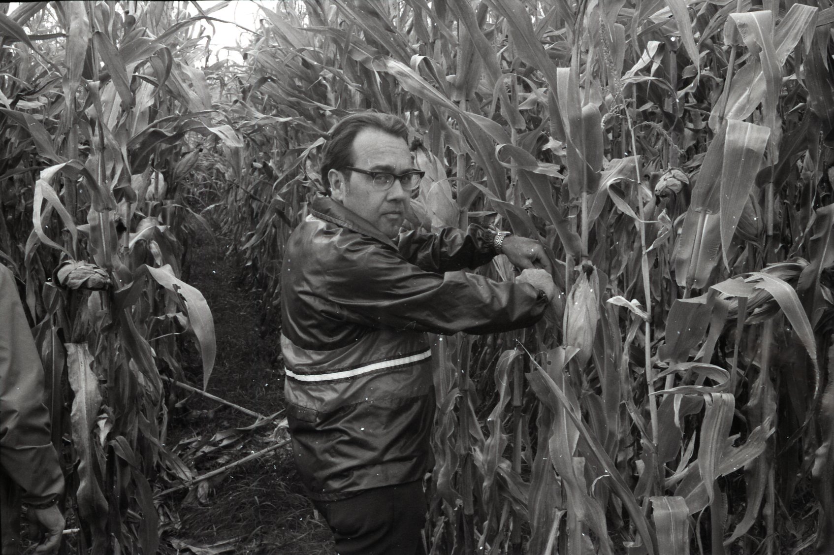 1978 Unidentified men examining corn