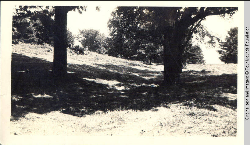 John Heitzman cutting hay in hayfield