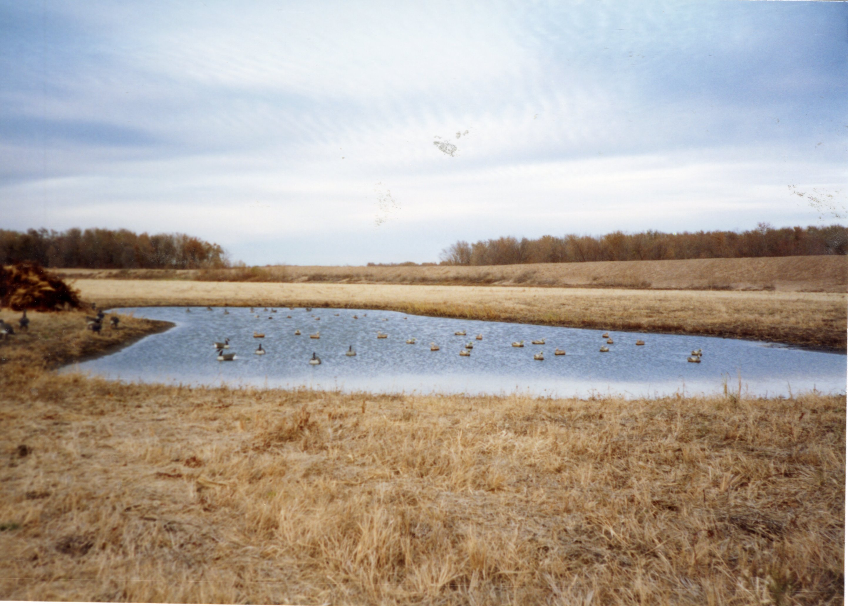 2002  Shallow water area comstructed on David Sheridan's property