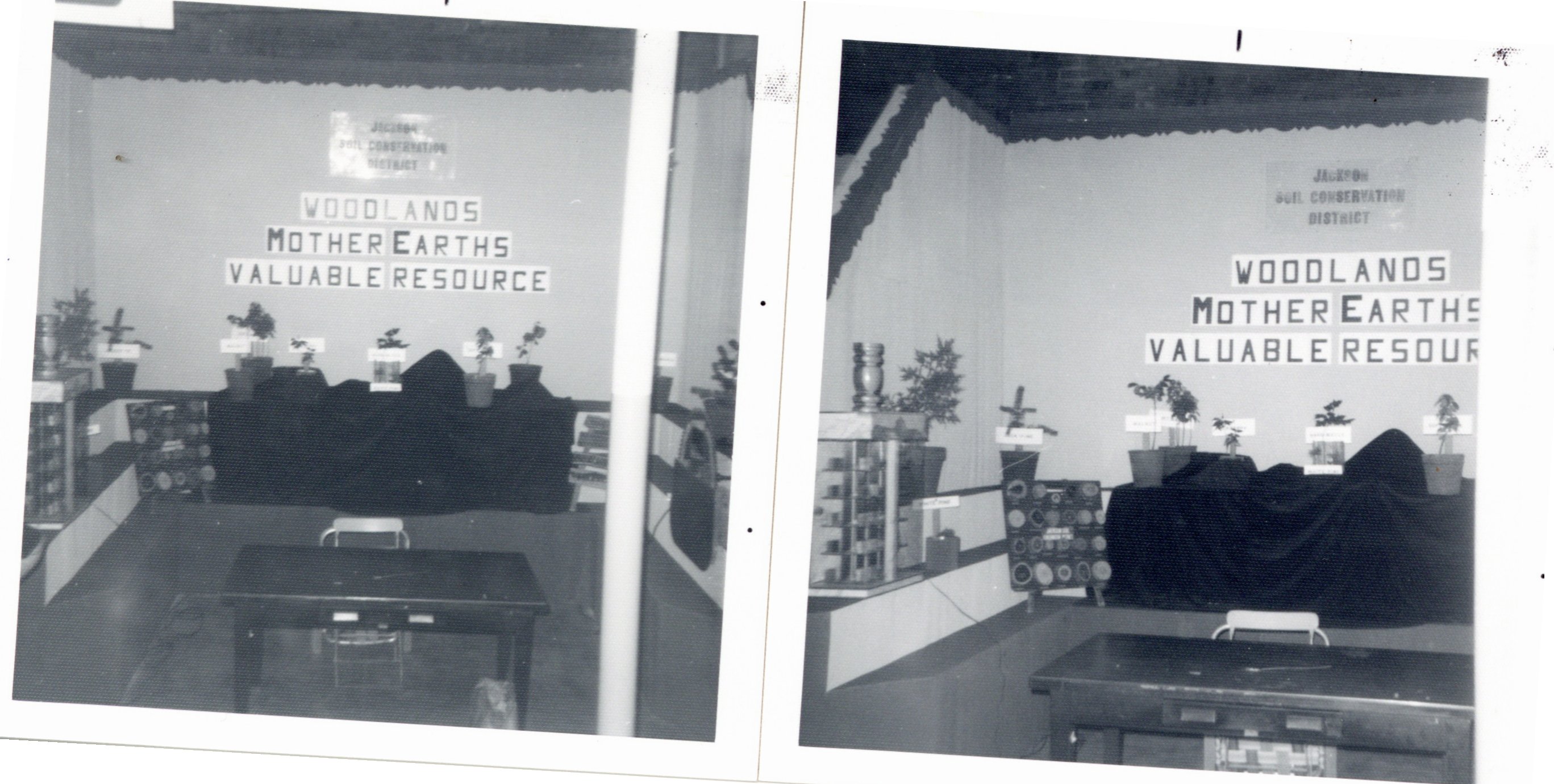 Iowa State Fair display, 1974