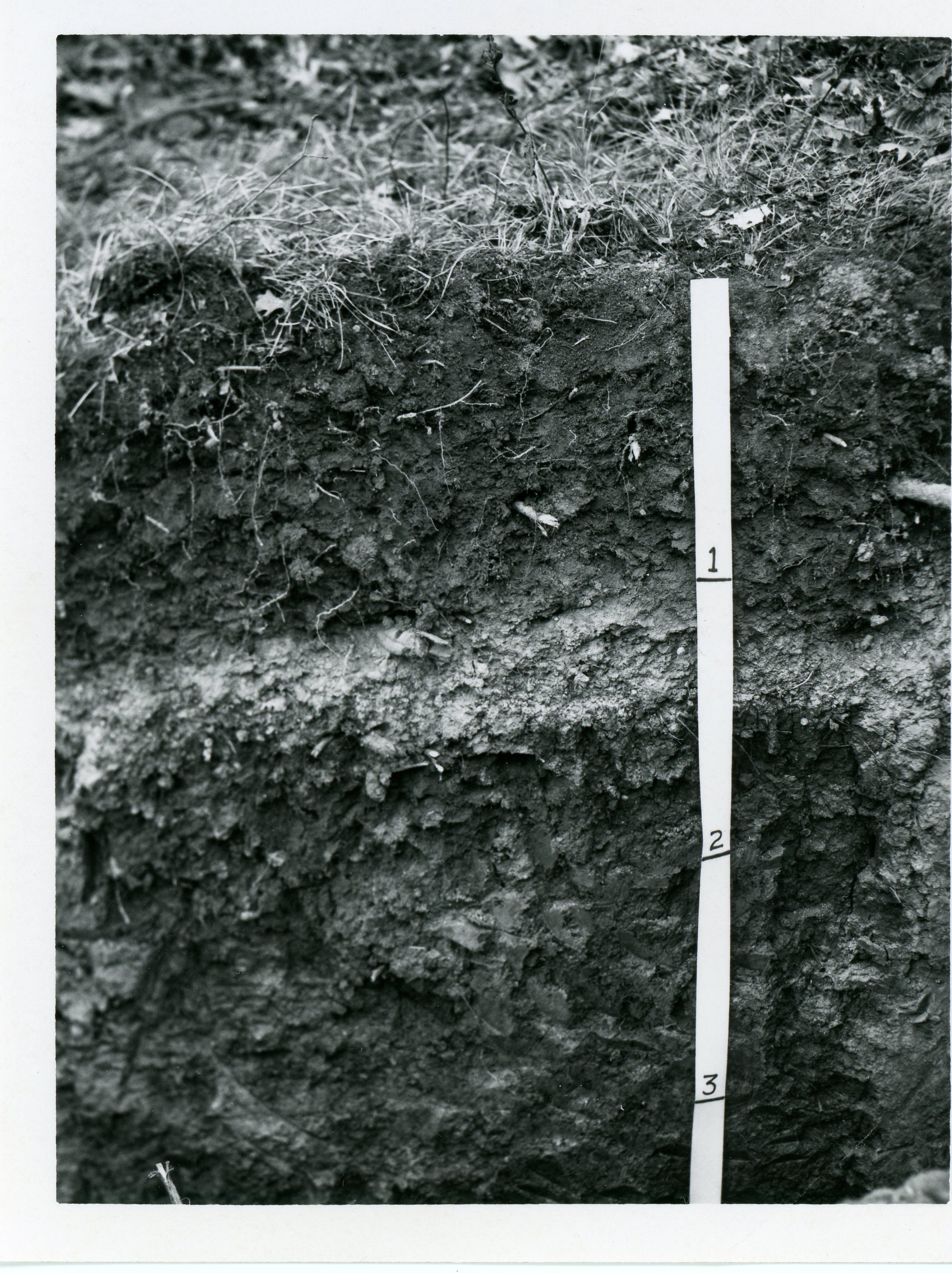 Soil survey, 1969