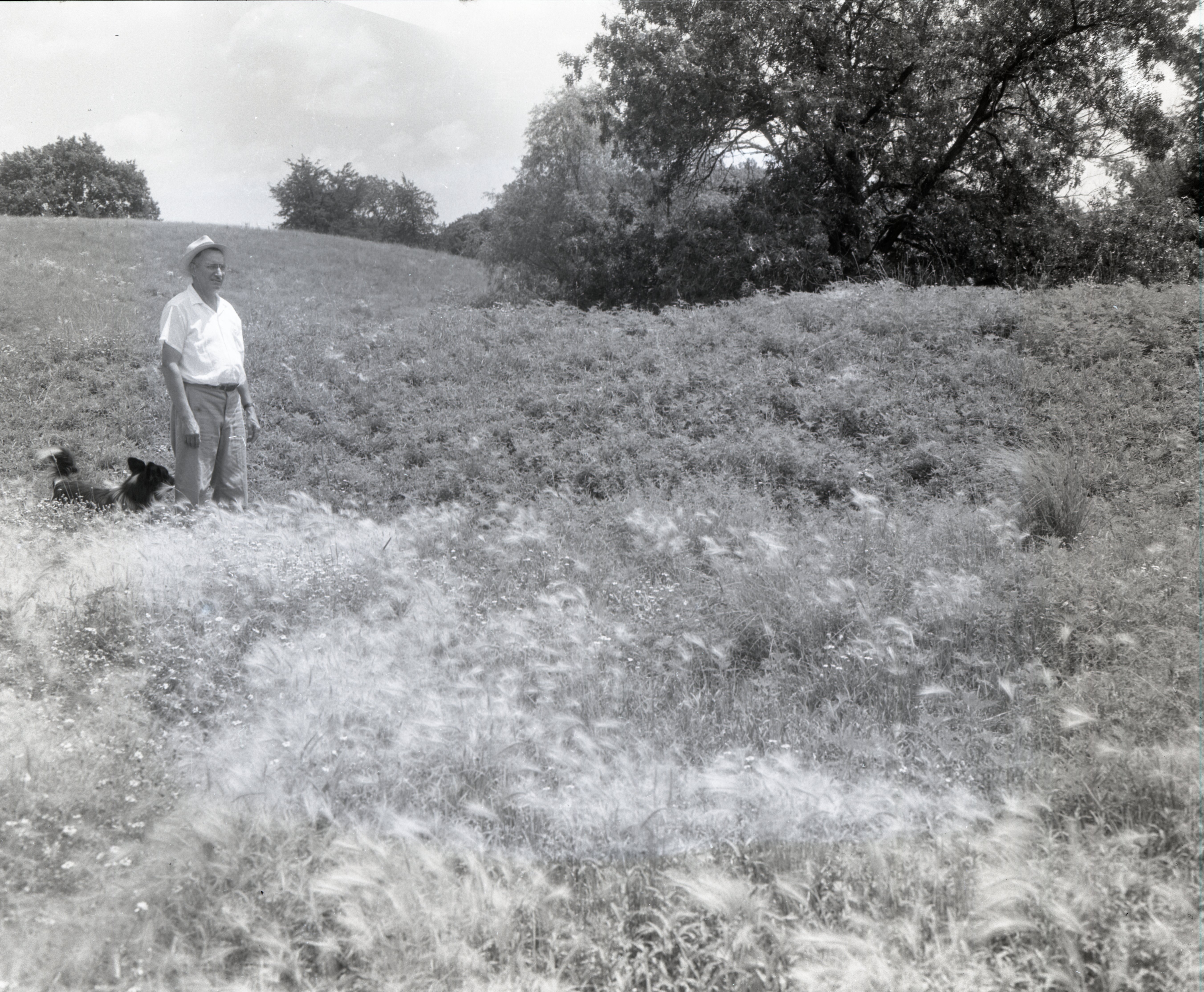 Unidentified man and dog stand in grassy field