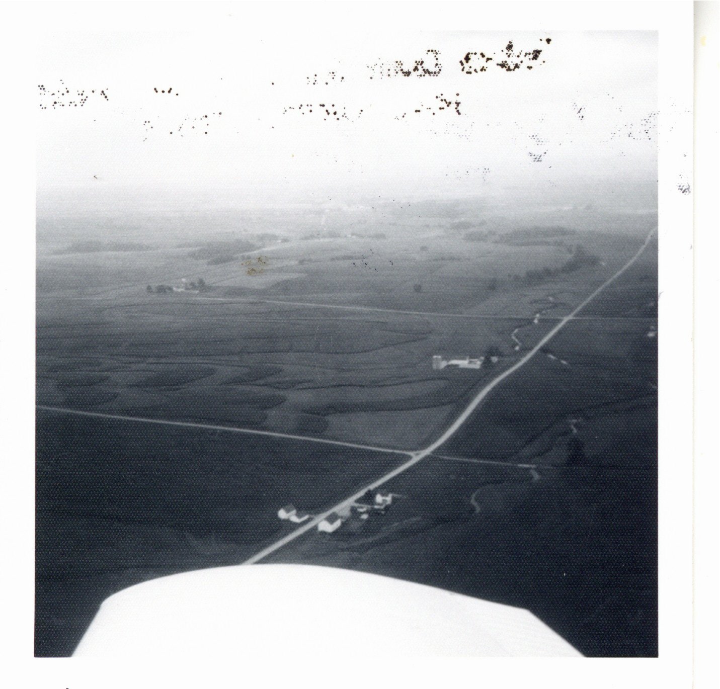 Lorraine Gray's farm 