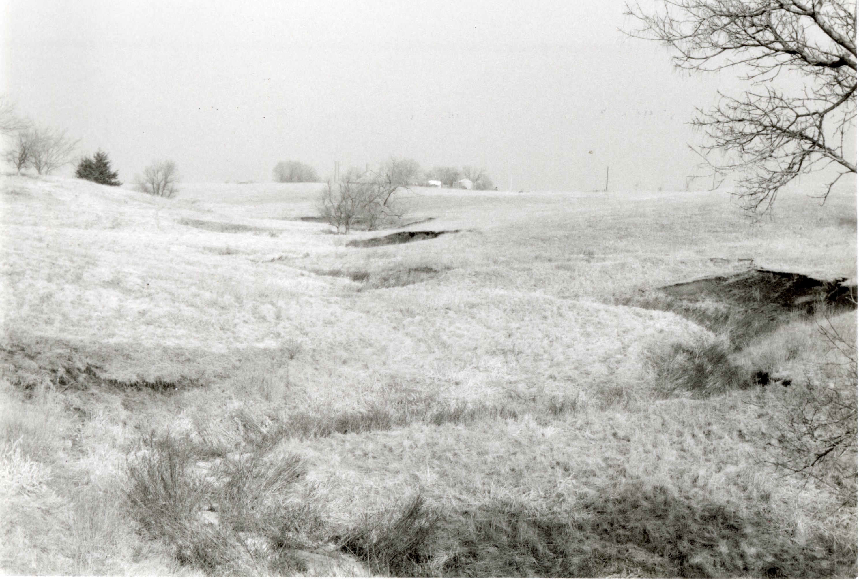Sloped grassy field
