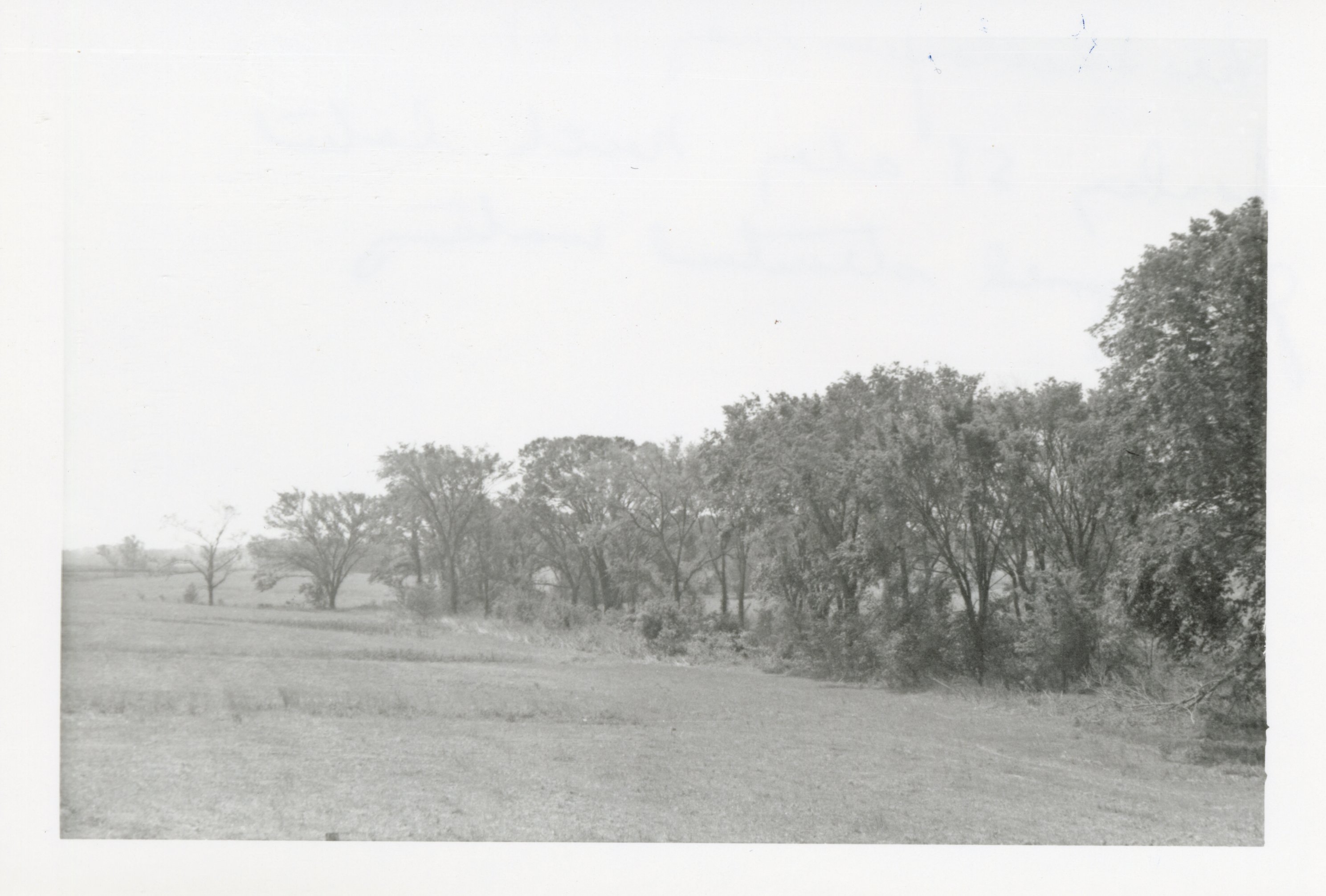 1964 -  Lee Shelton Farm
