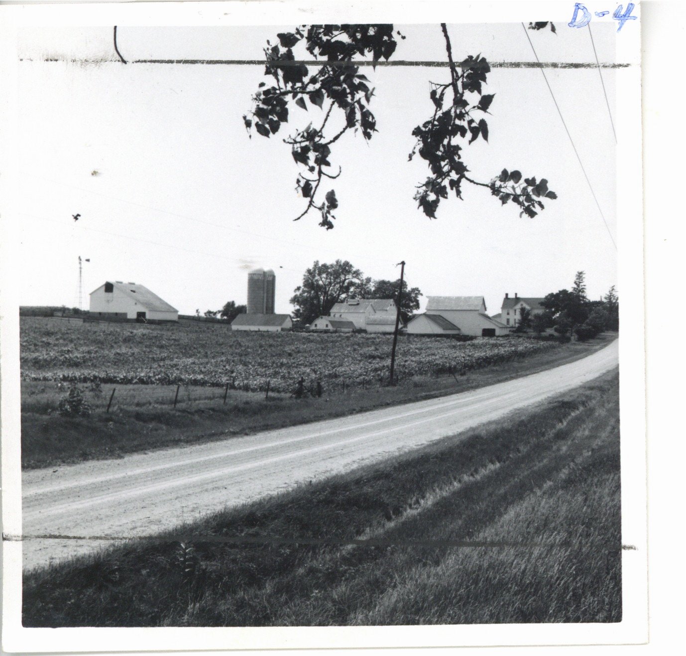 Erwin Jepsen homestead, 1965