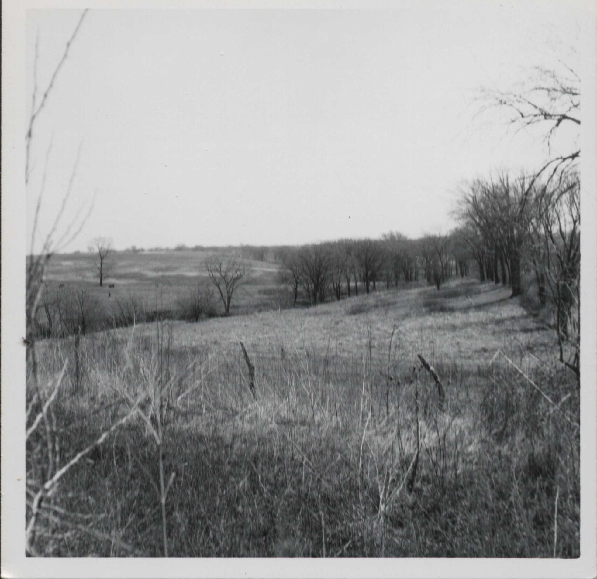 Structure site on C. Surgley's farm. 