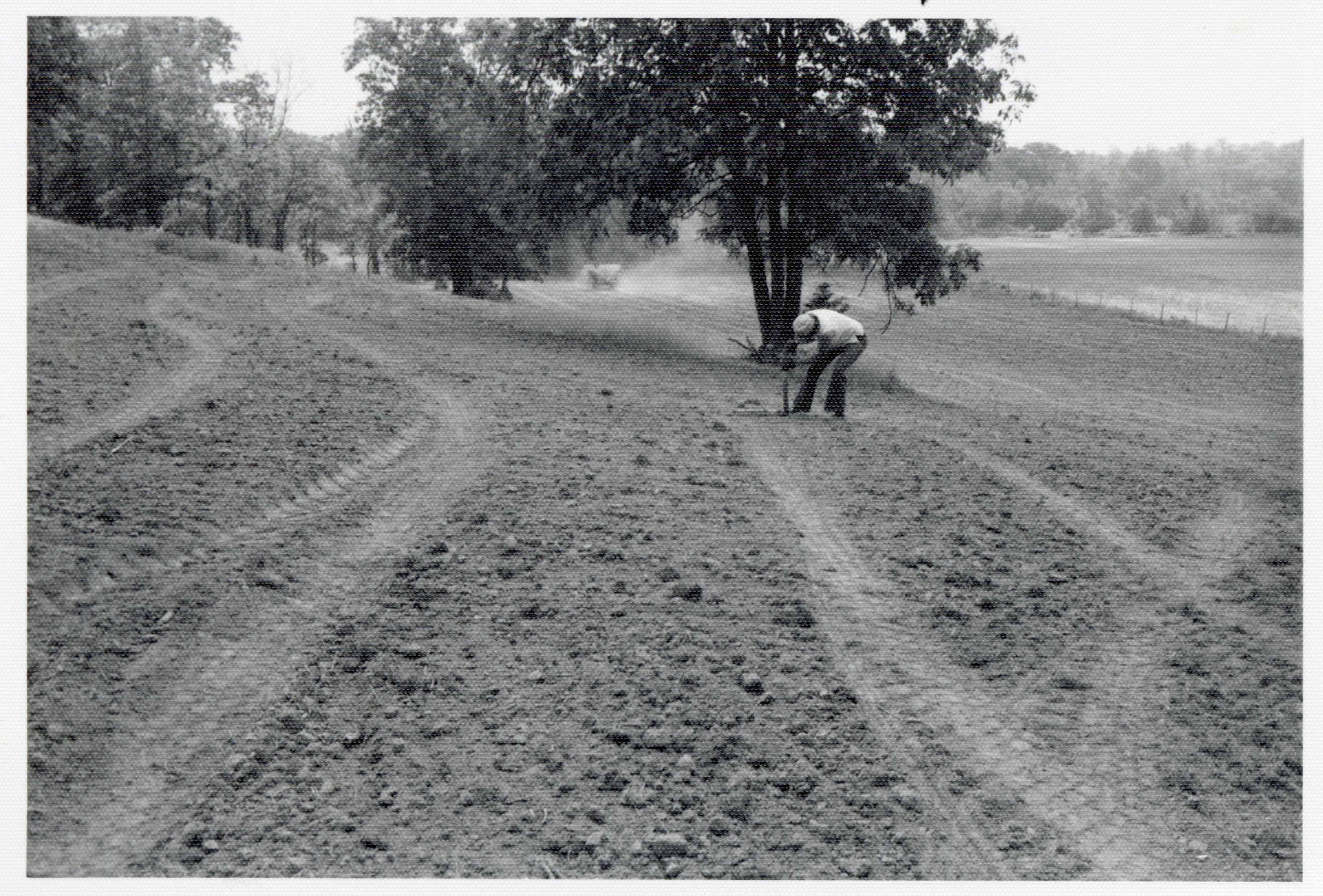Theresa Beckman in field where native grasses will be planted