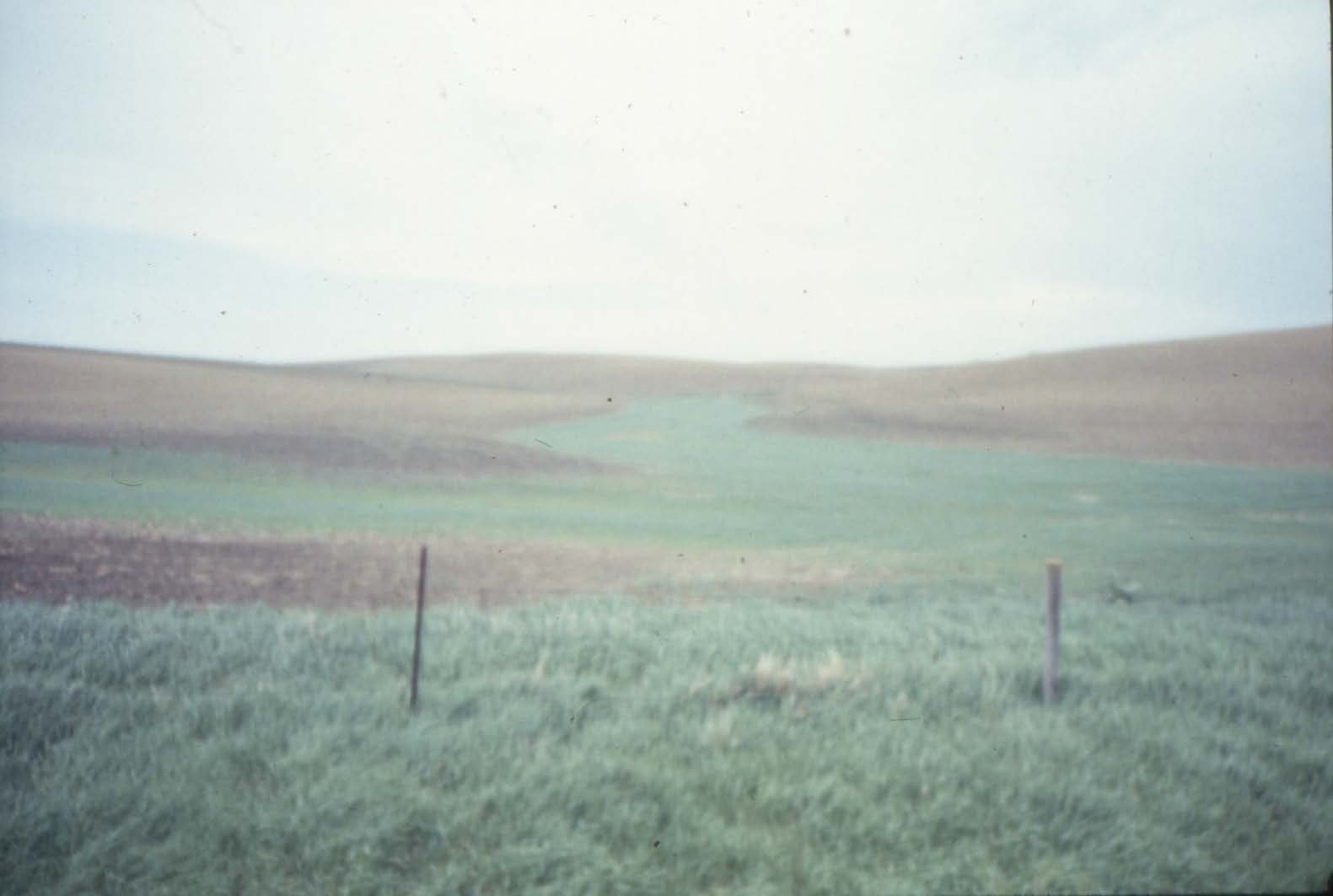 Farmland with fence, 1988 