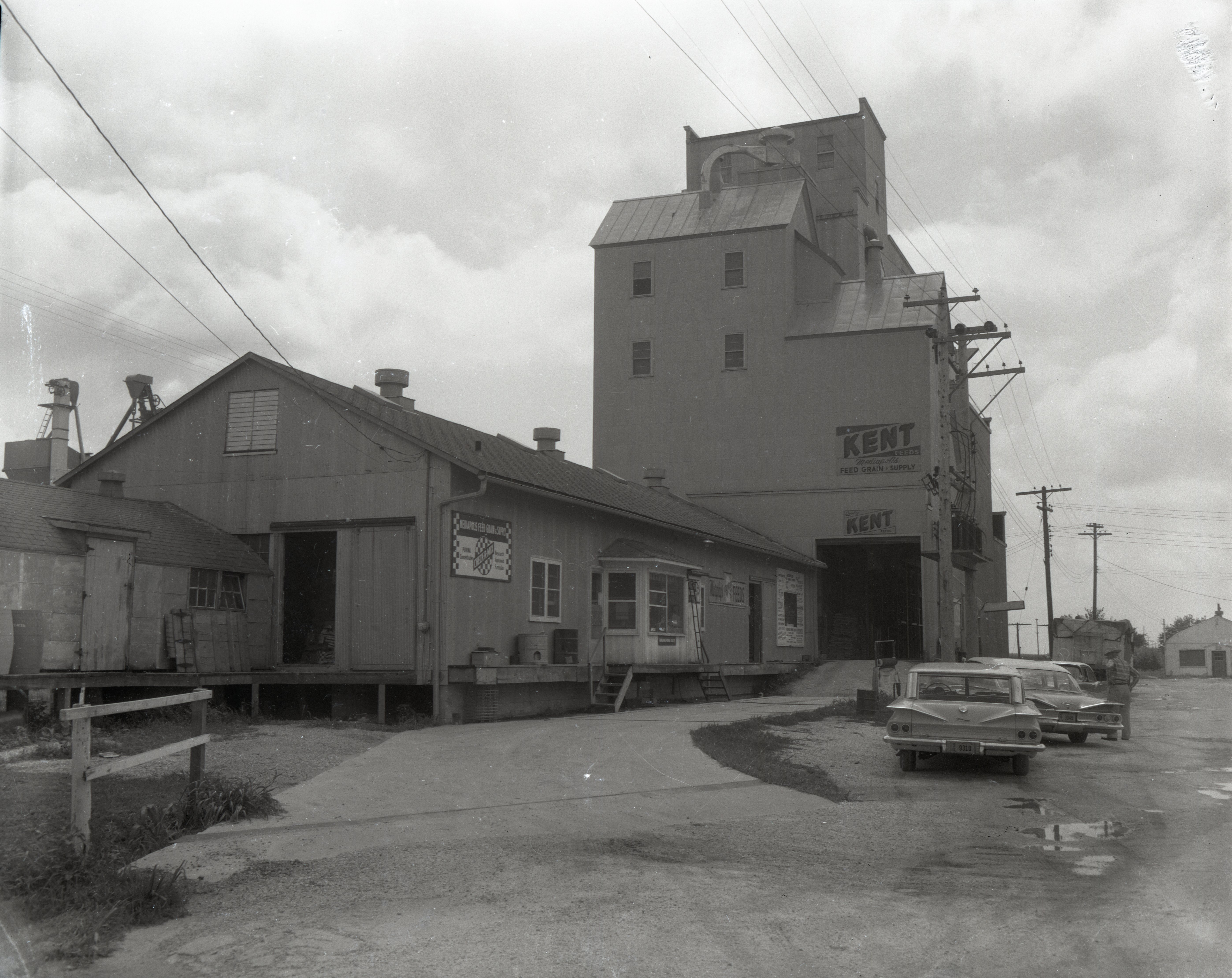 Mediapolis Feed Grain and Supply