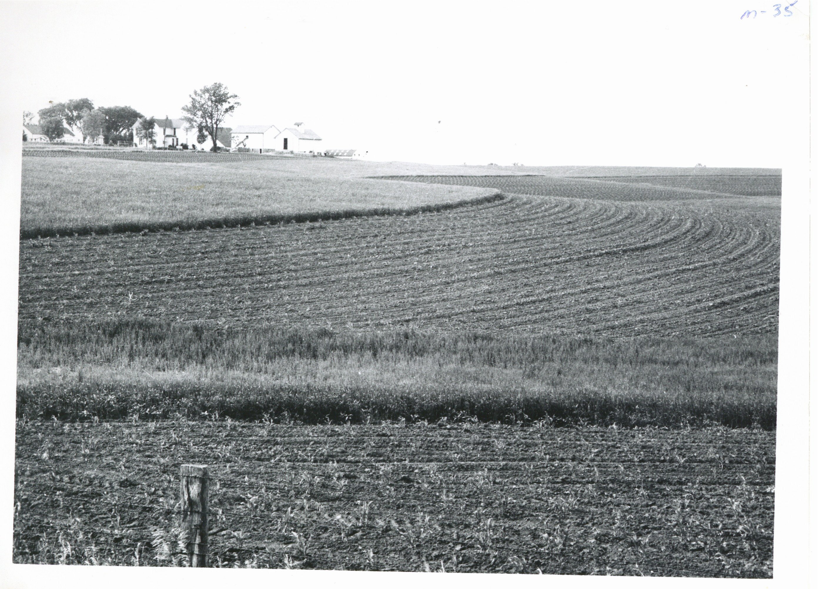 Lester Moeller strip cropping, 1965