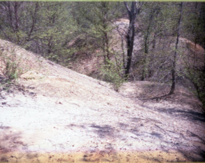 Hilly Landscape with Trees
