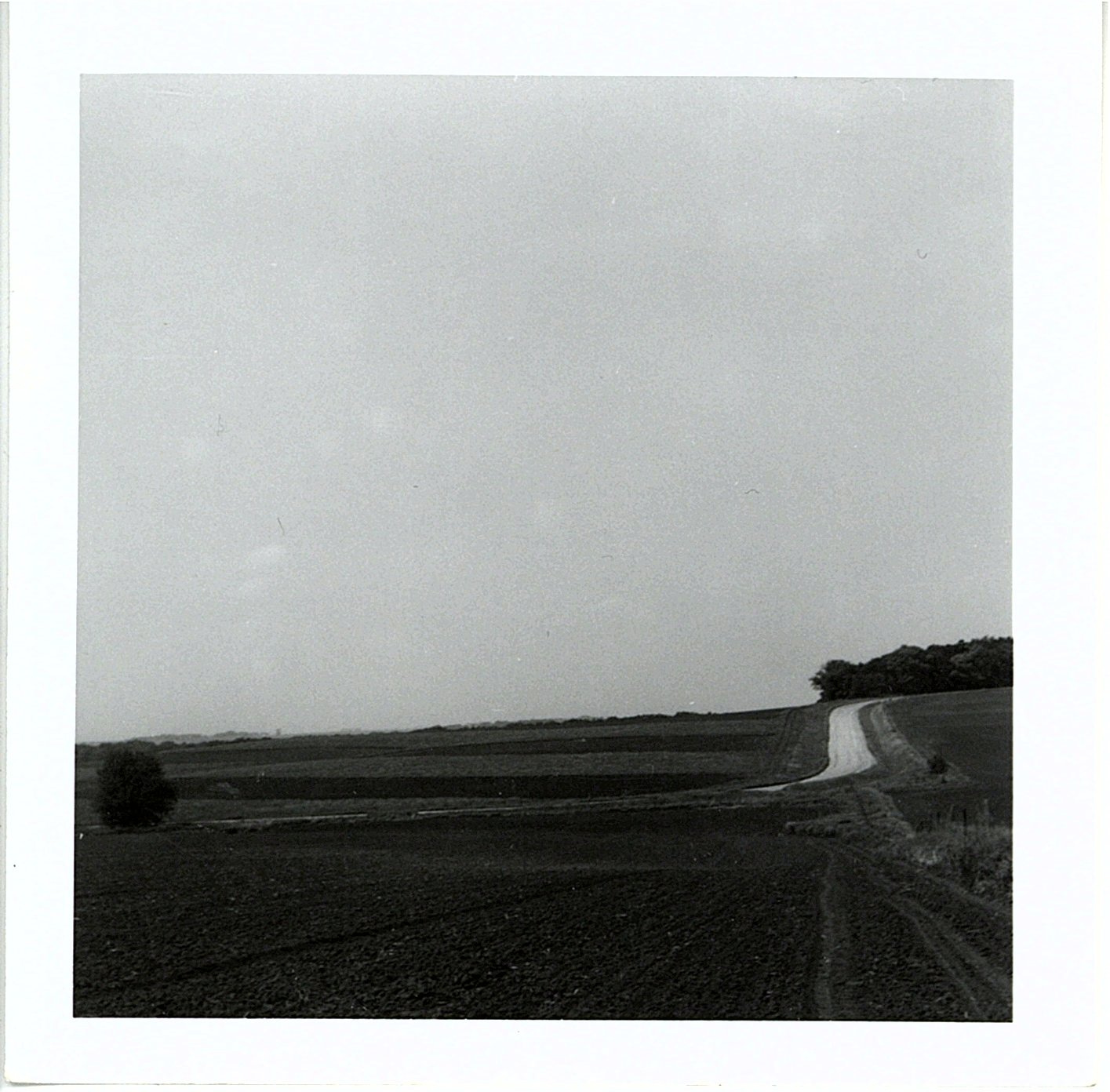 Strip cropping