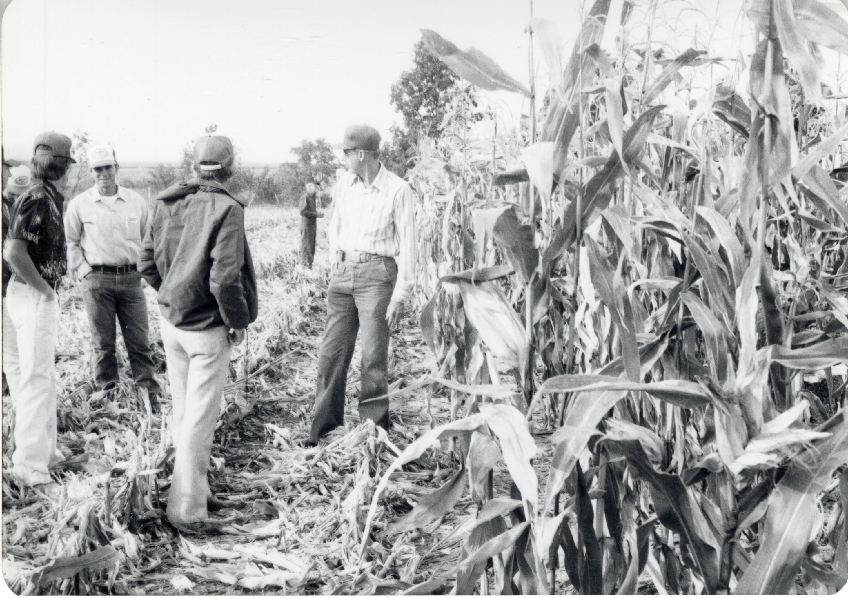 Doug Cling and others on no-till  corn tour