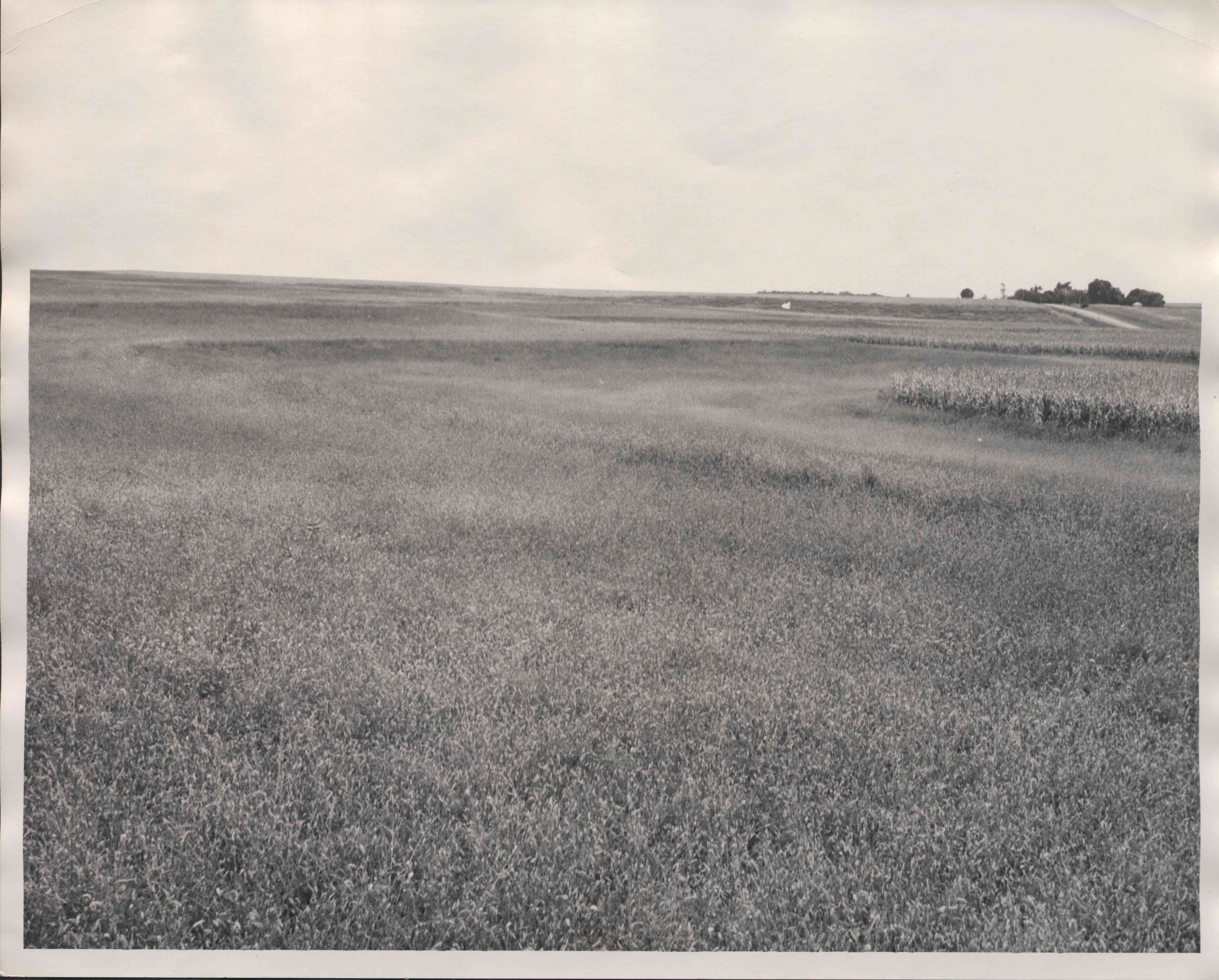 Terraced farmland field
