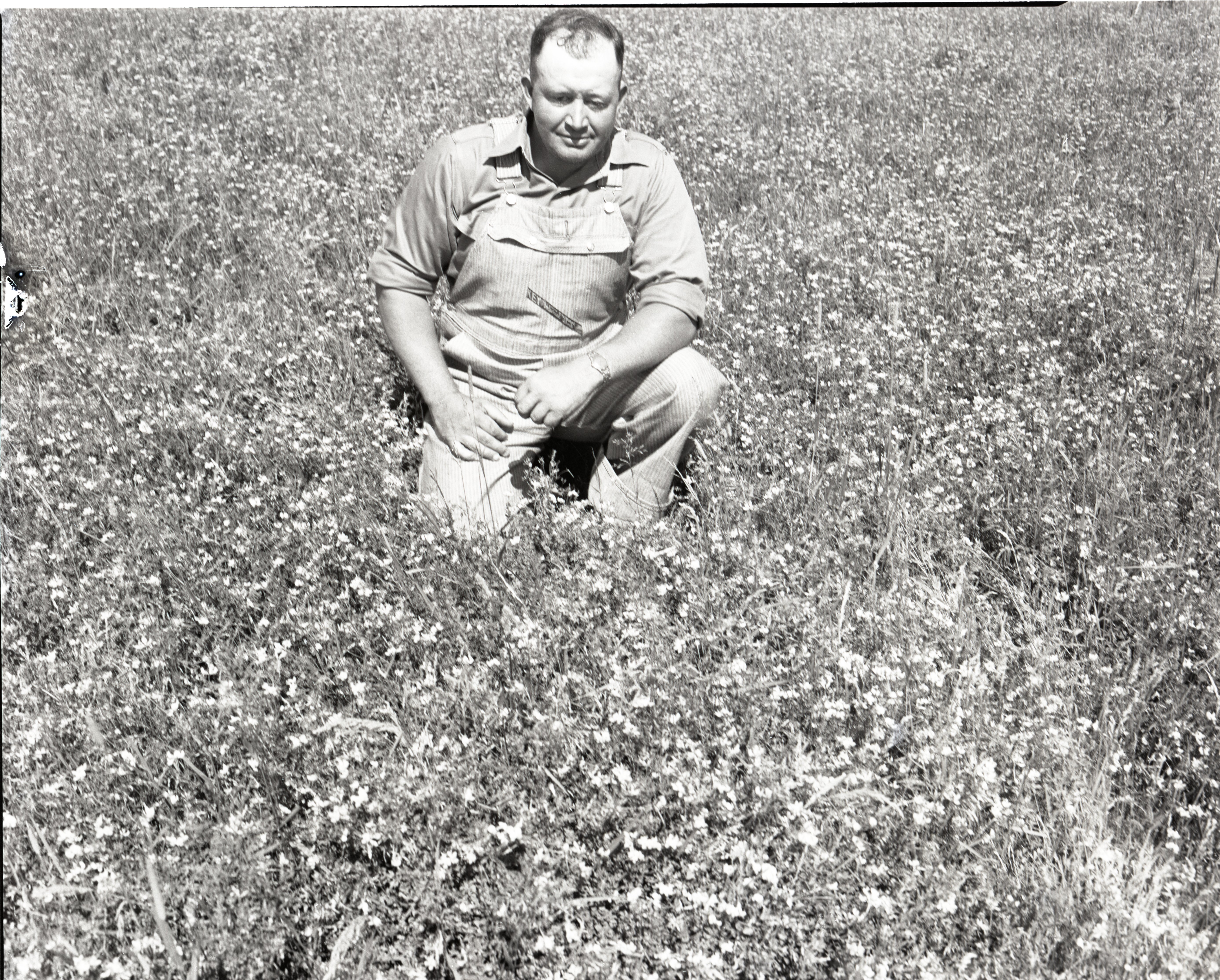 Man in White Overalls Kneels in Tall Grass