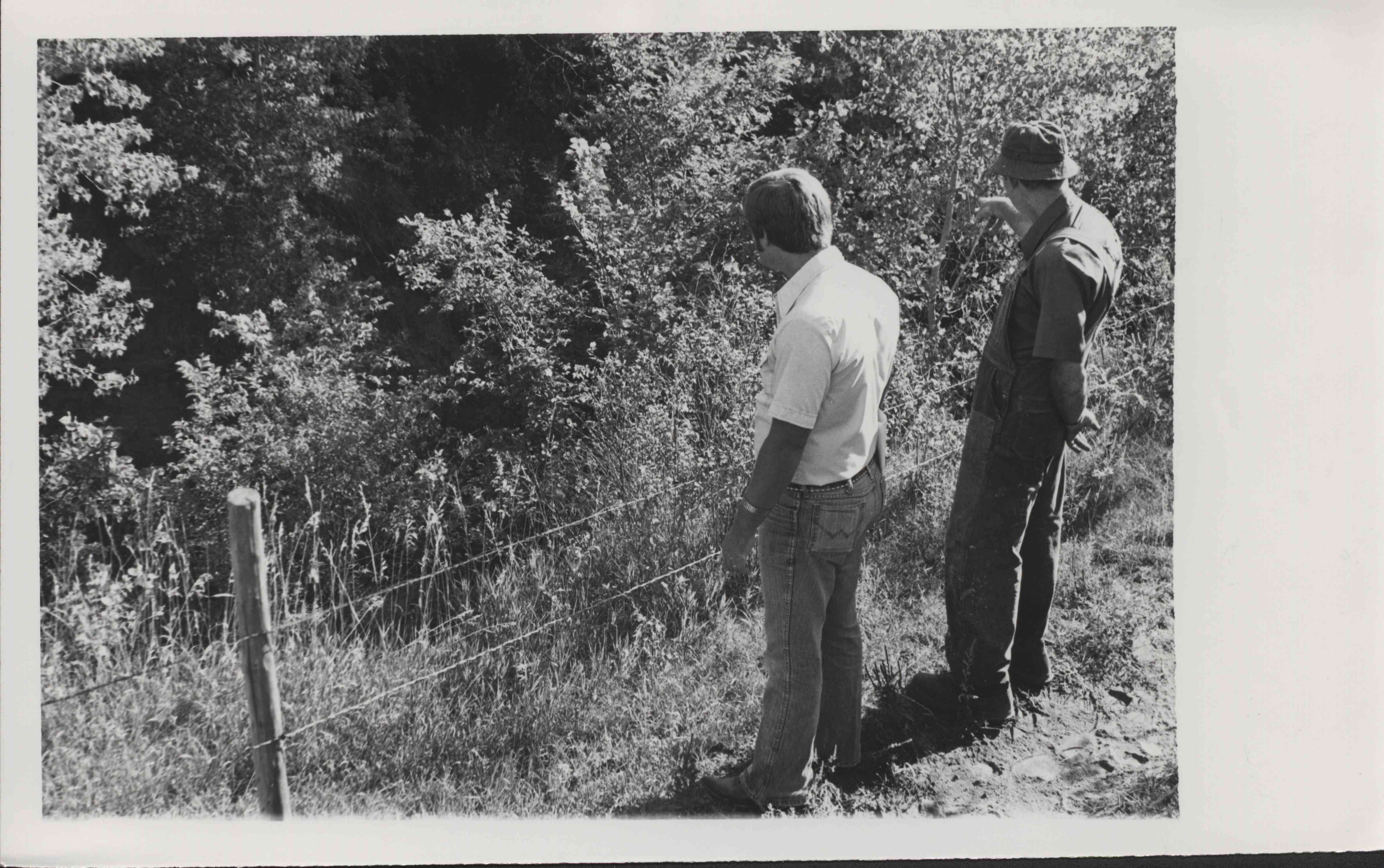 Two men stand behind fence looking down into revine of trees in Plymouth County, Iowa