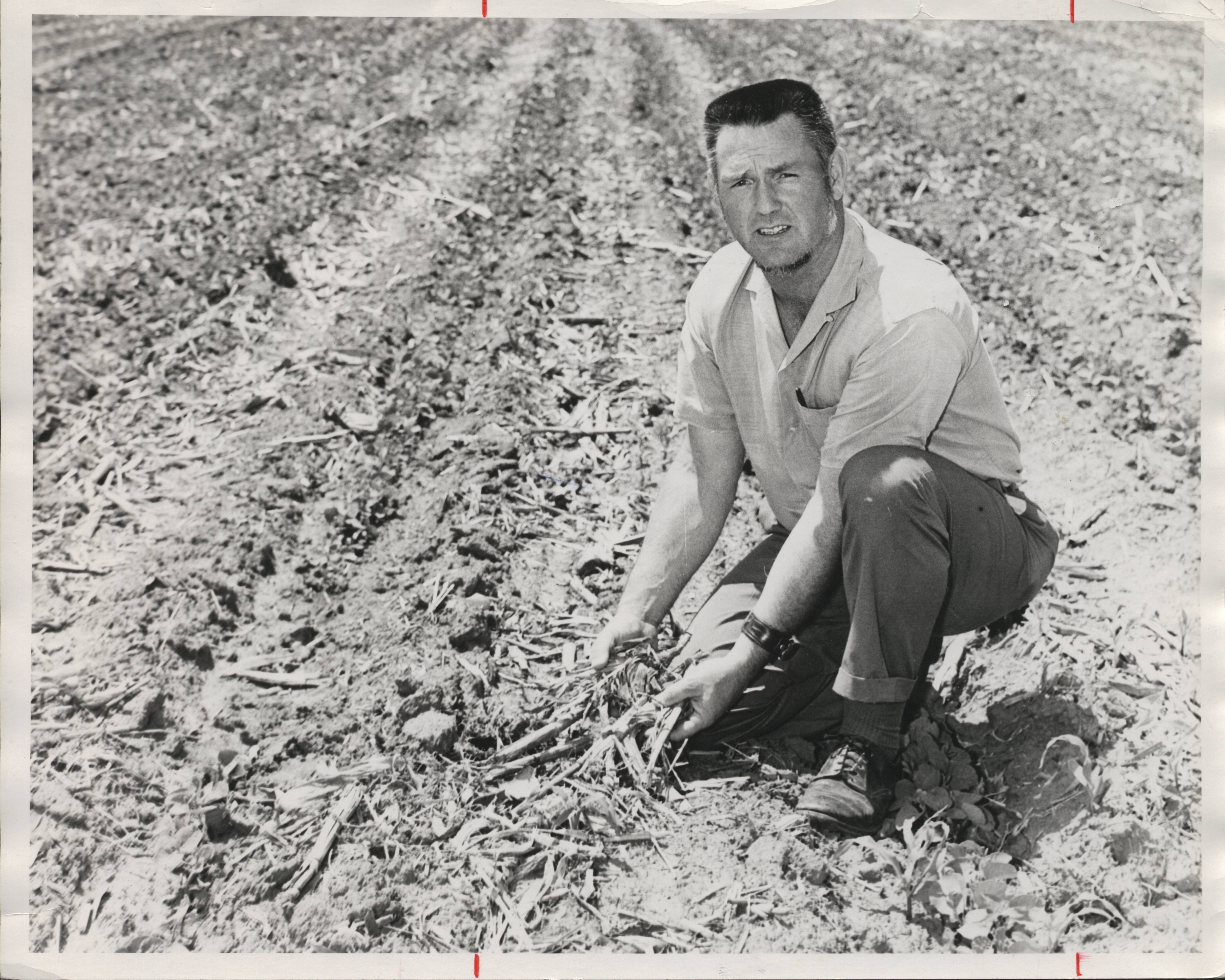 Unidentified man in field examines sod