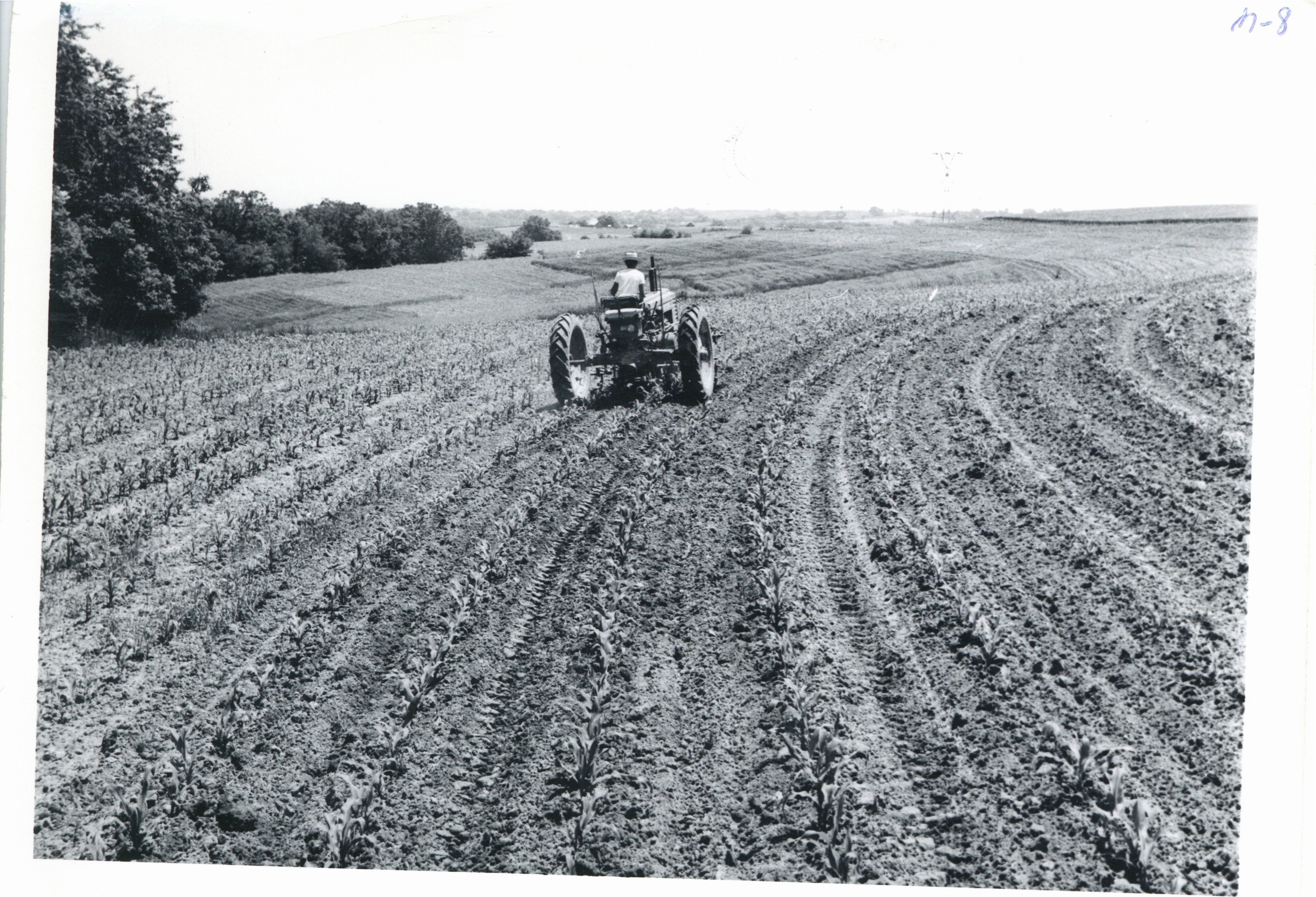 Matthew Mander farm, 1962
