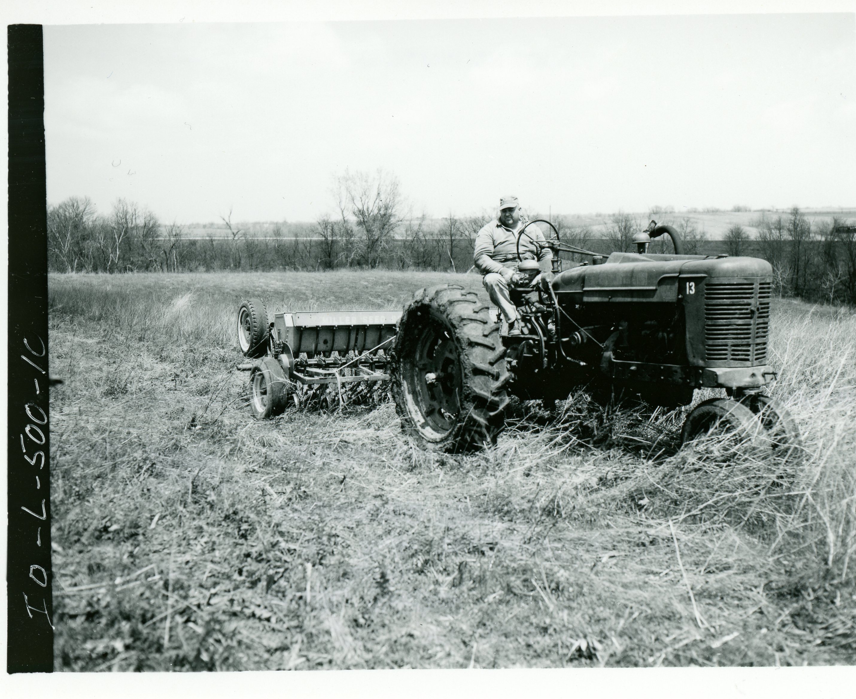 Native grass, 1972