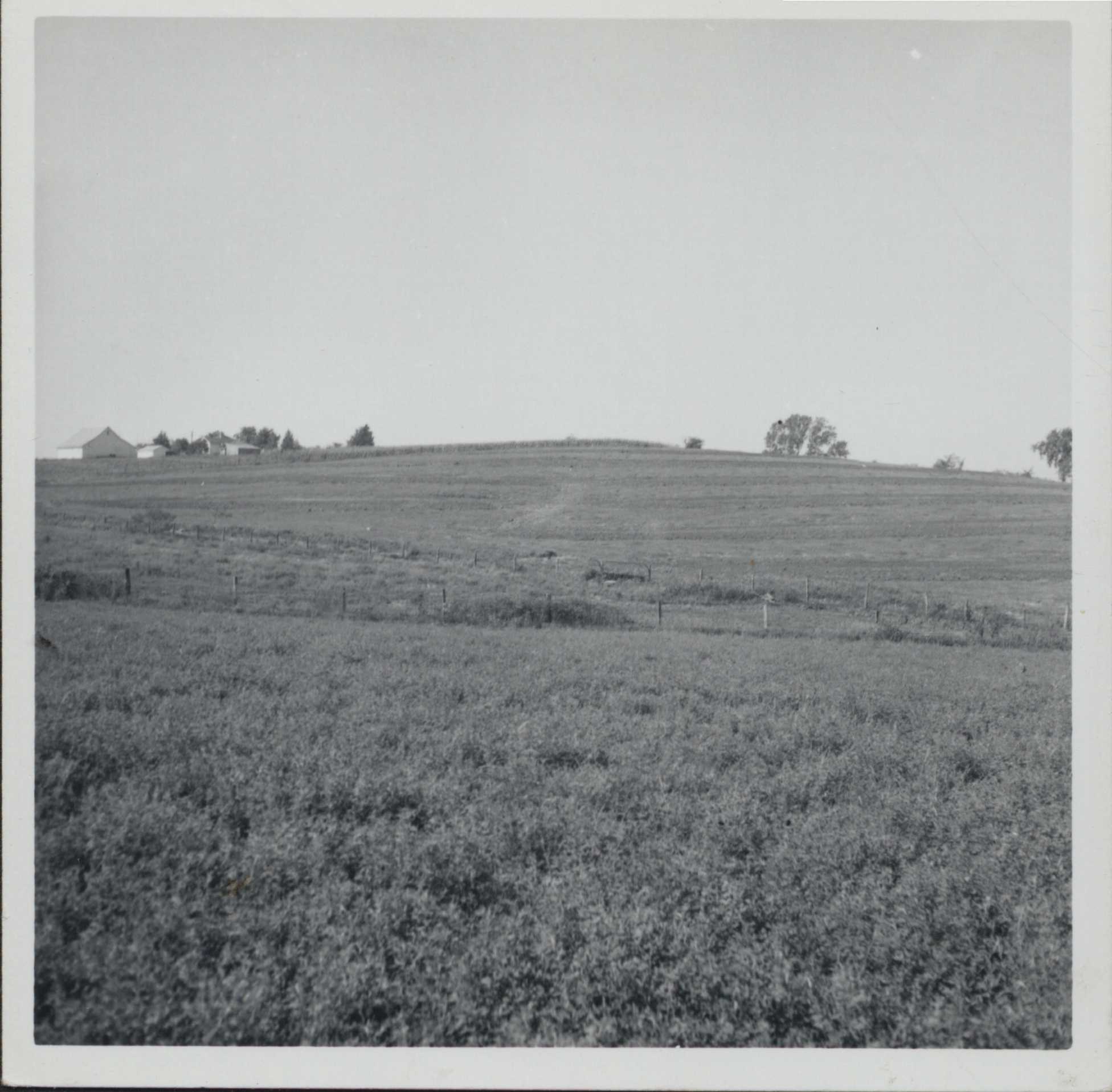 Parallel terraces and waterway construction on the Minor farm.