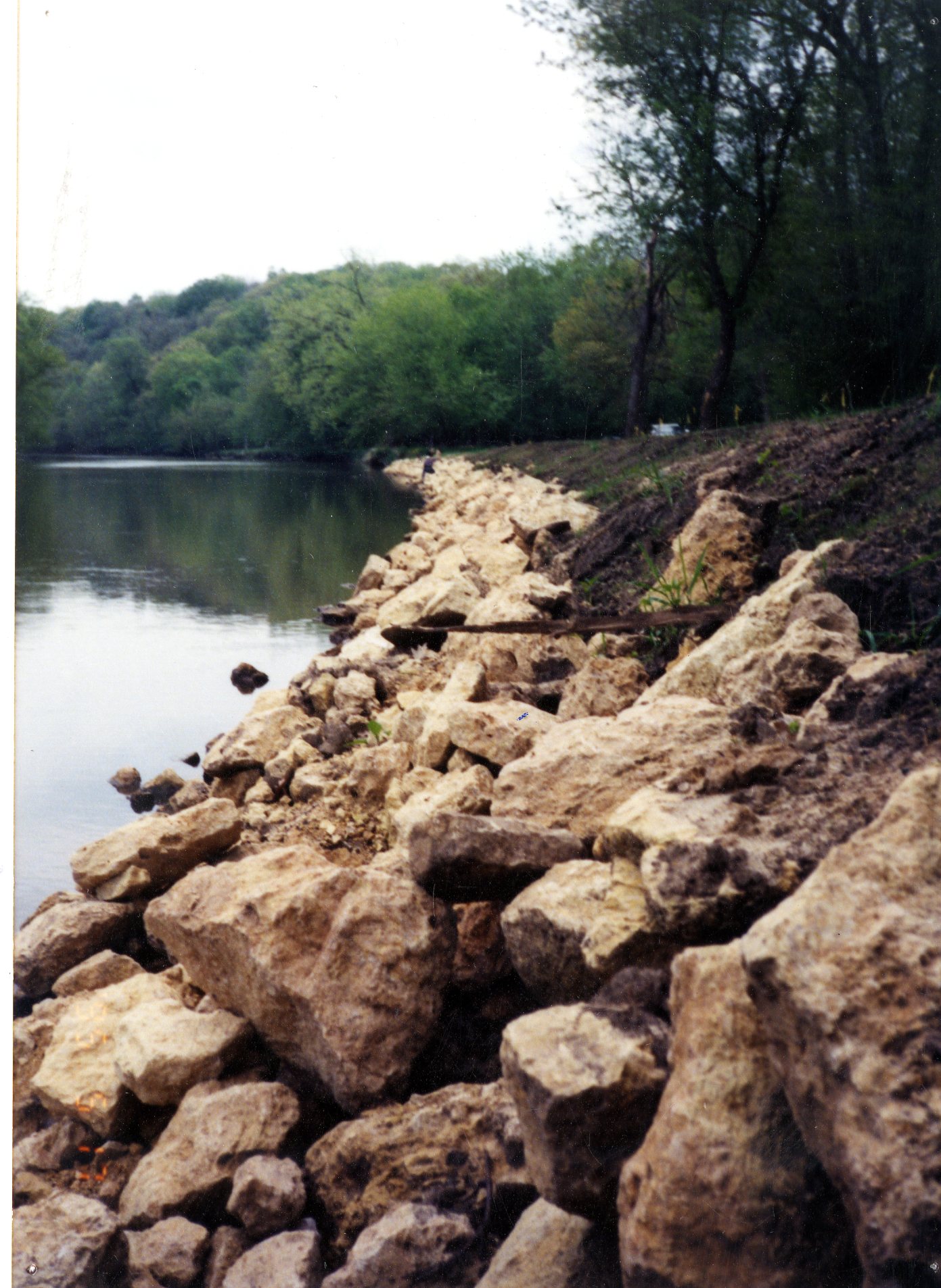 Joinerville Park, 1995