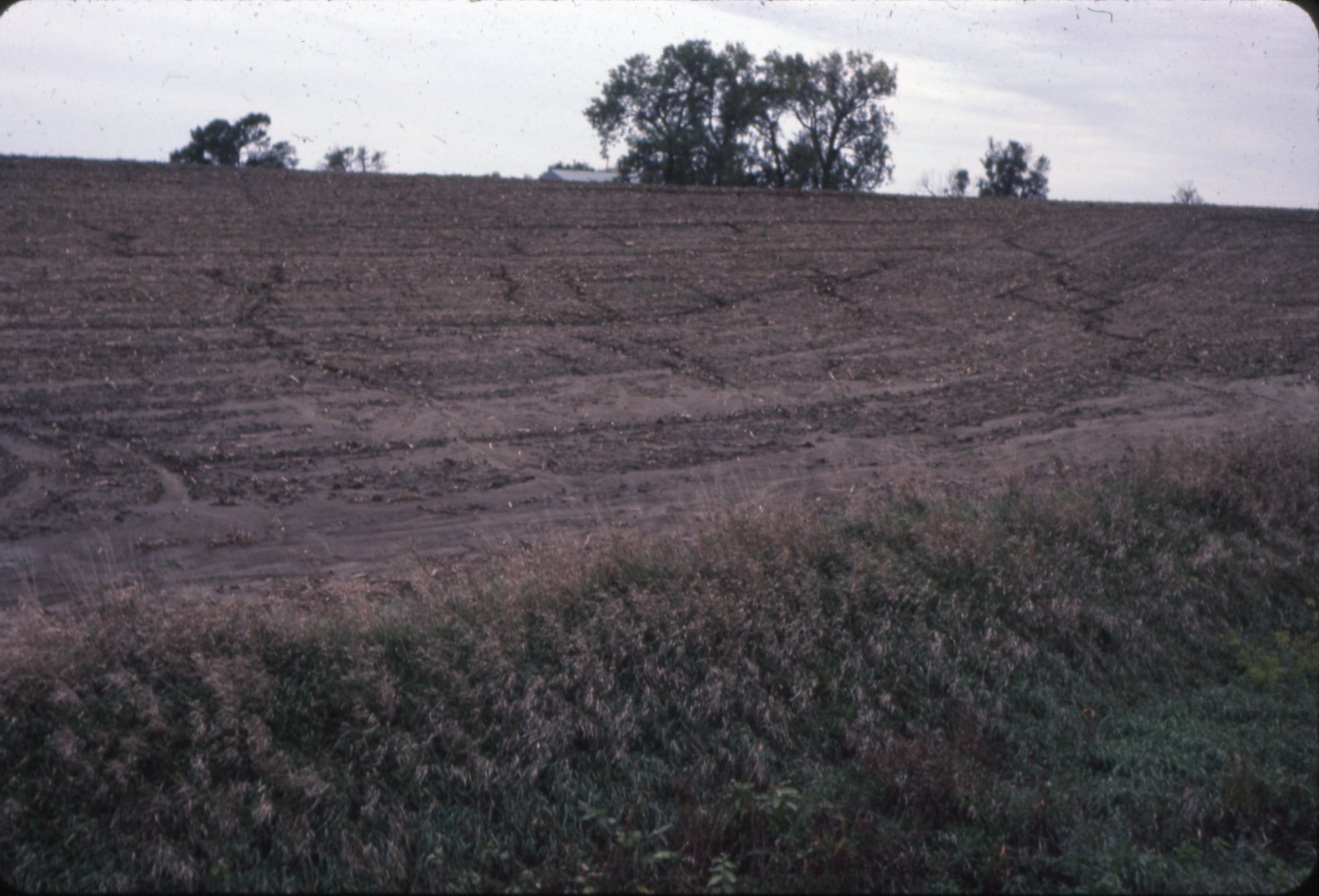 Cropland after harvest, 1983