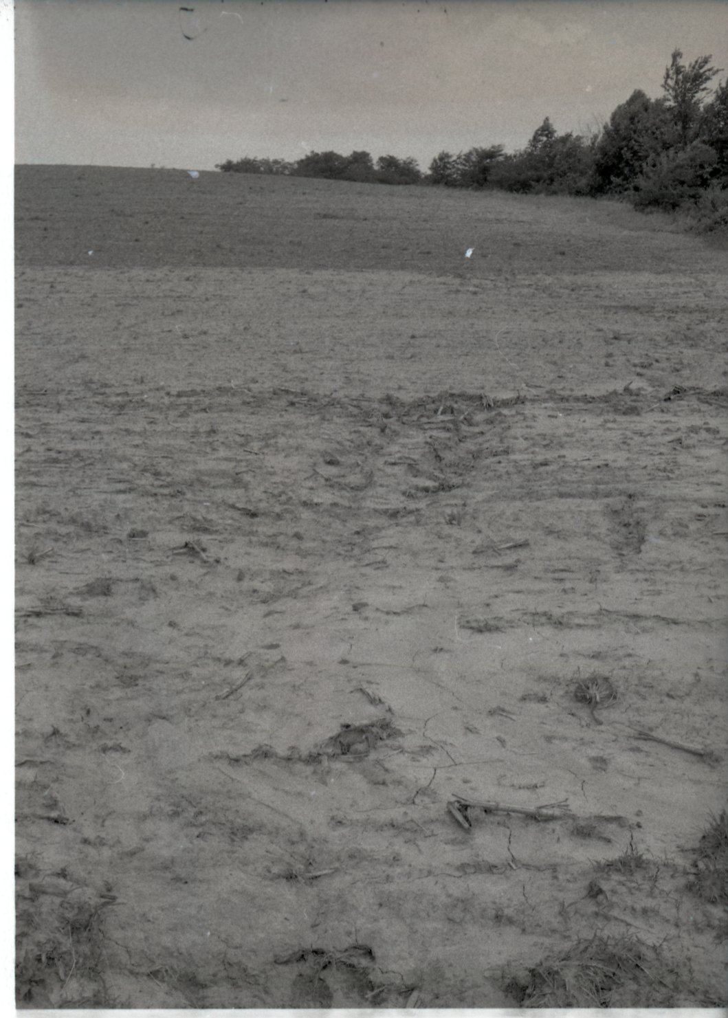 Dry fields