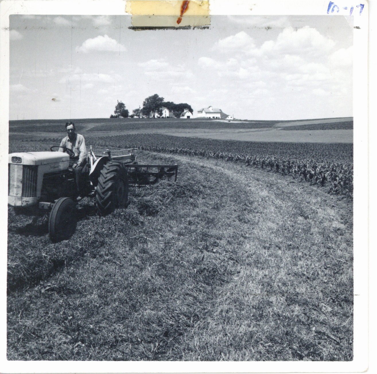 Strip cropping on Lester Moeller's farm, 1963