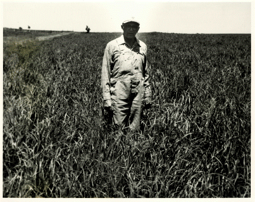 Henry Ortigies_Soil and Water Conservation Exhibit