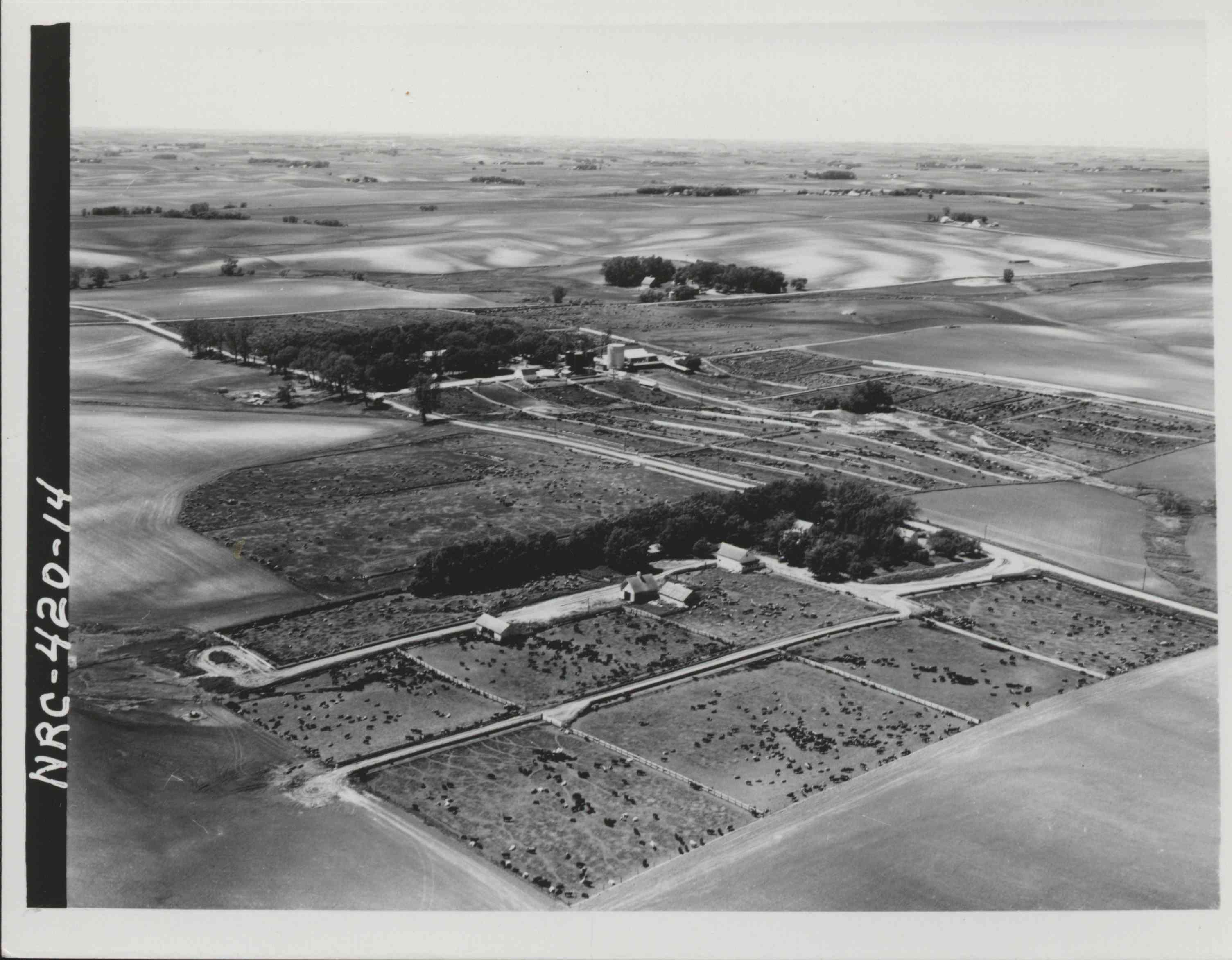 Feedlot on Clarence Voss Farm