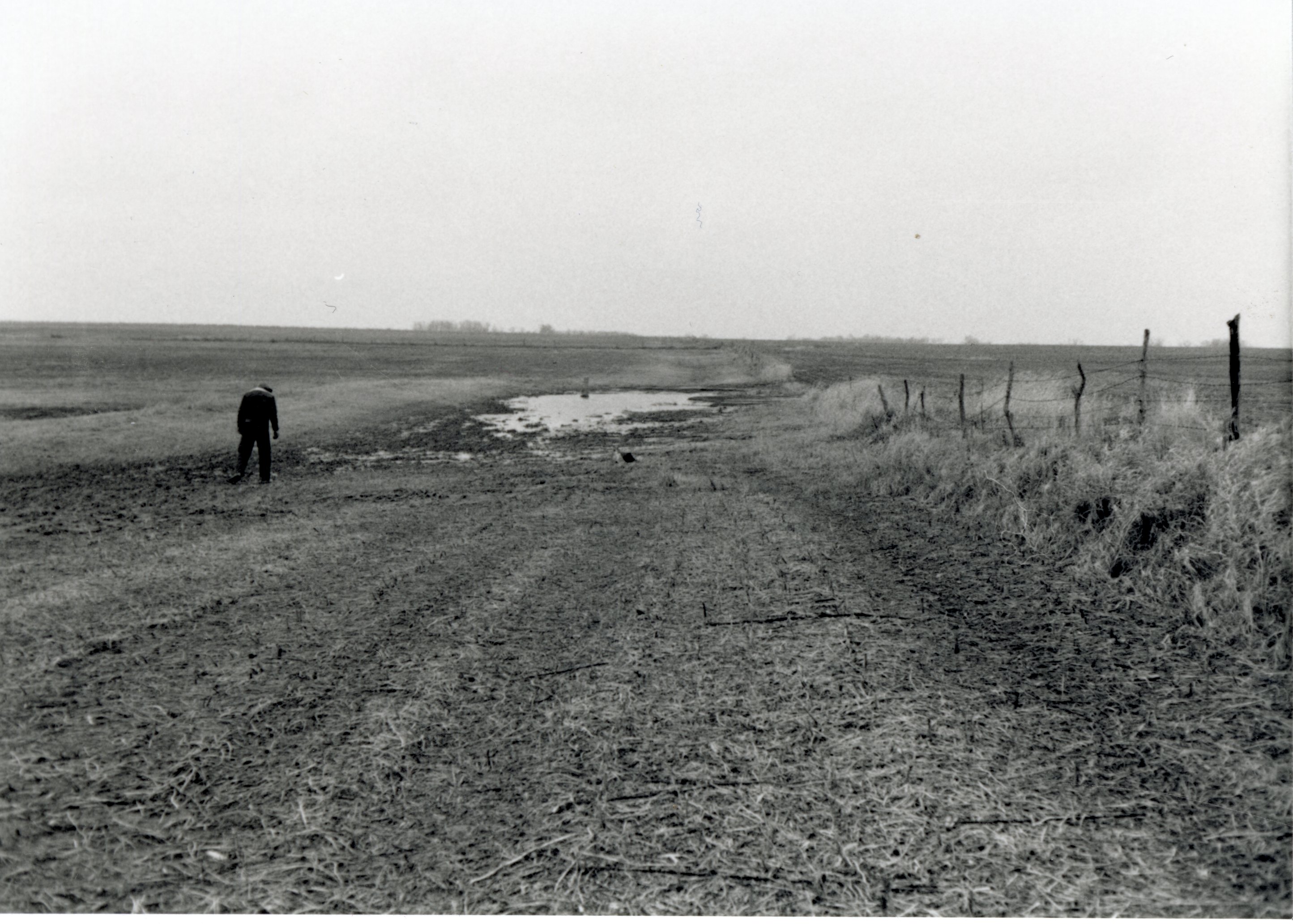 Man walks in field with excess water