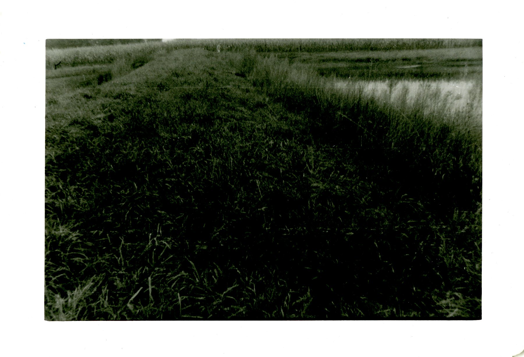 Top Of Dam On Ralph Utter Farm, 1959