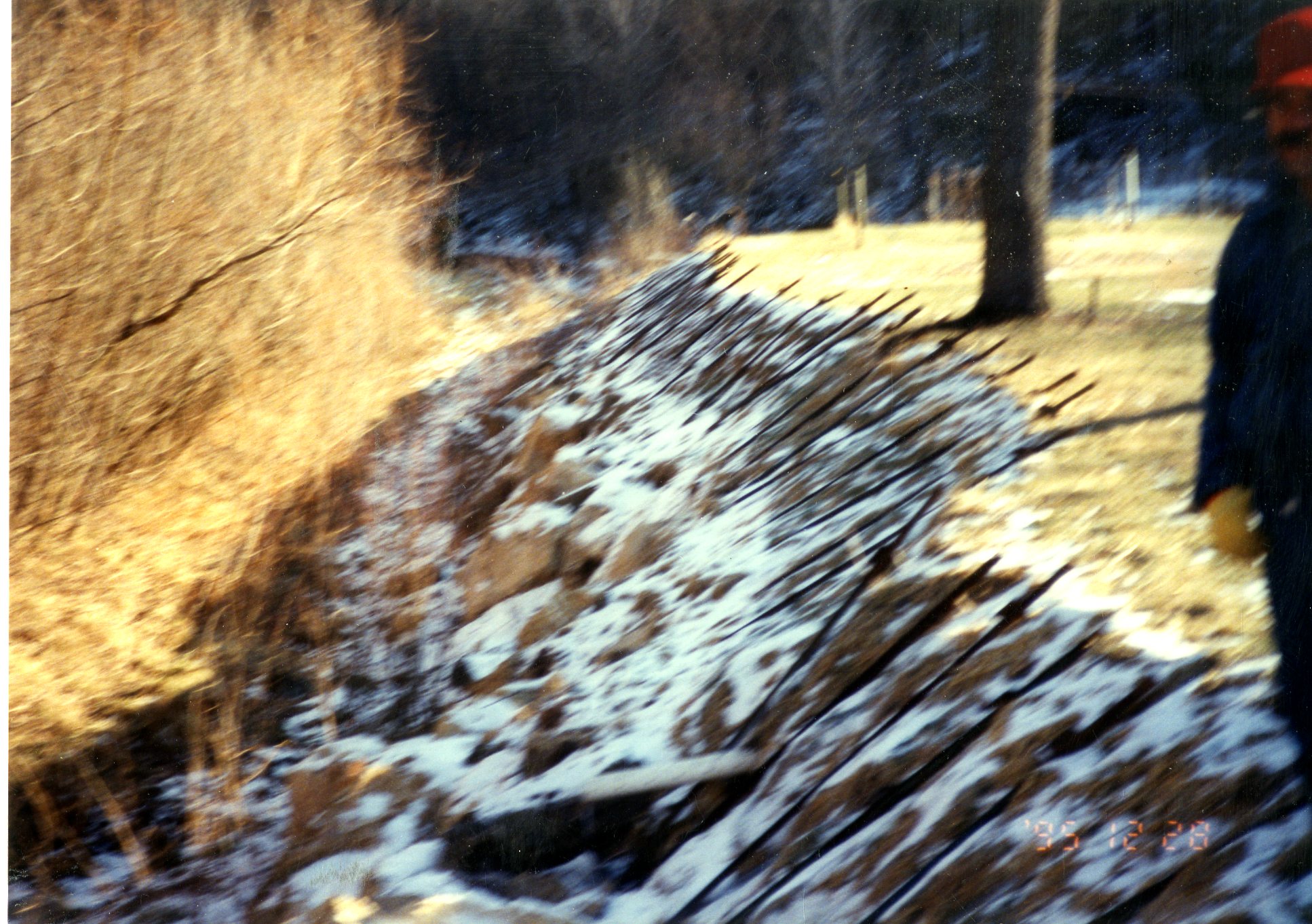 Paul Harrington, 1995