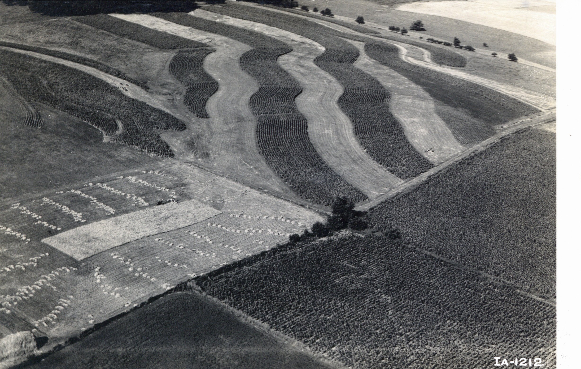 Torgrim farm, 1938