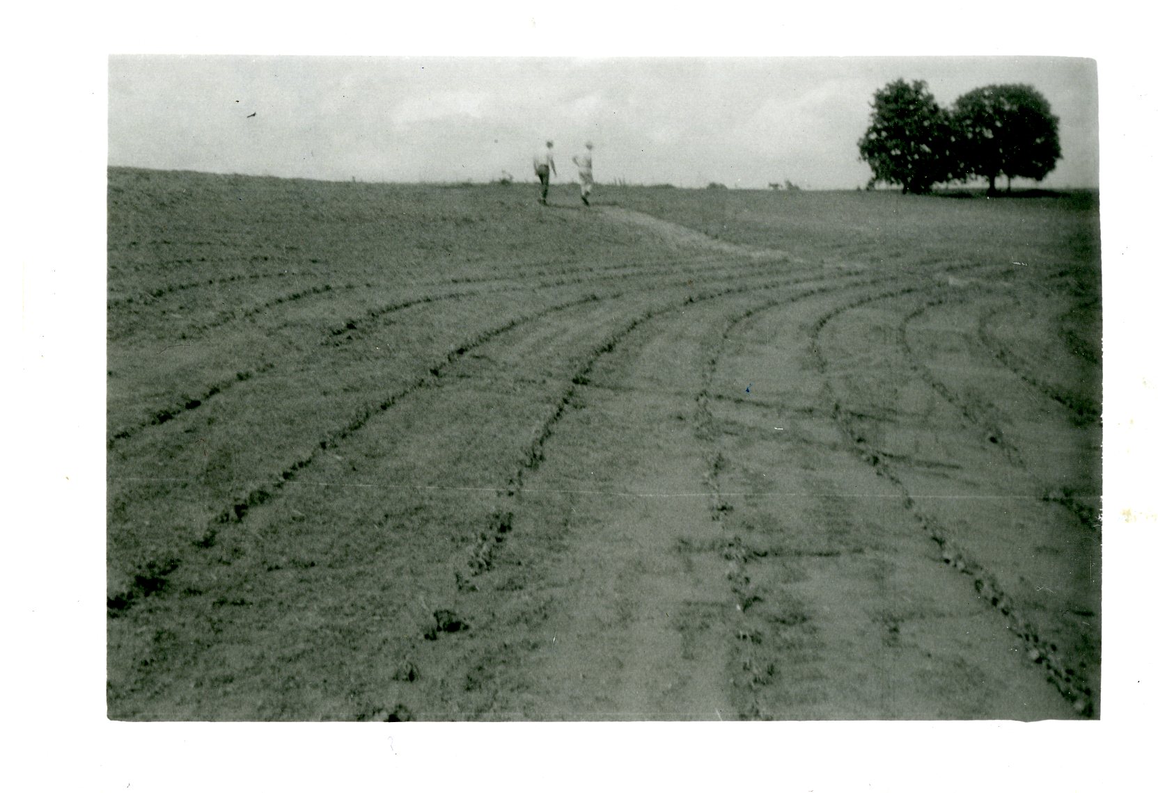 Contour, 1958
