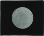 Bacteria specimen
