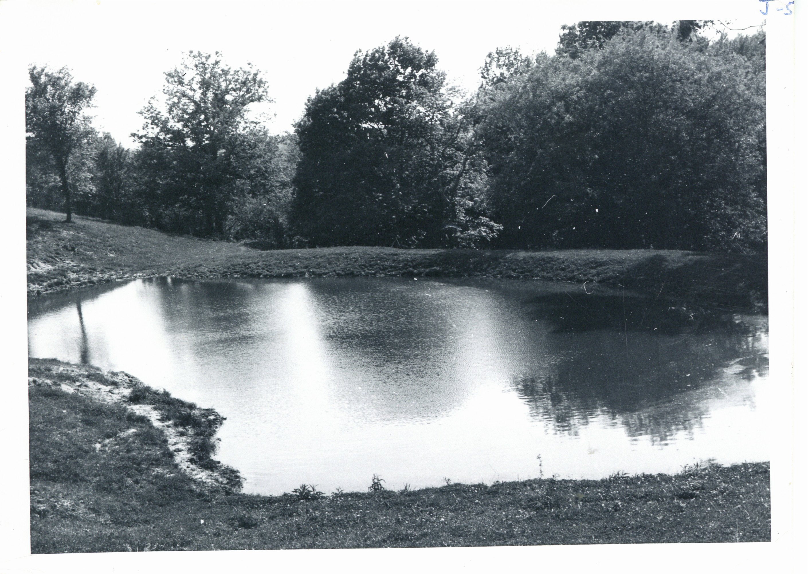 Farm pond, 1961