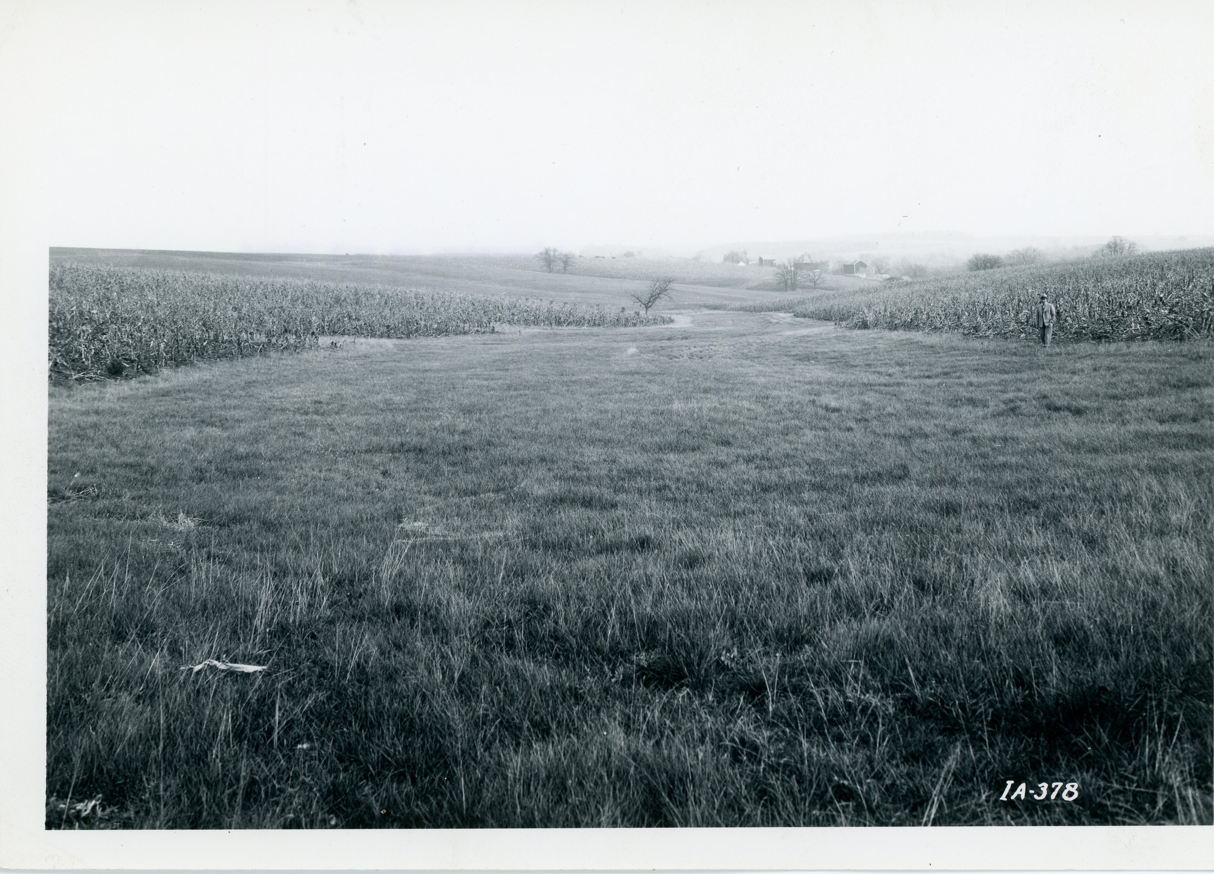 J.K. Tebben farm, 1967